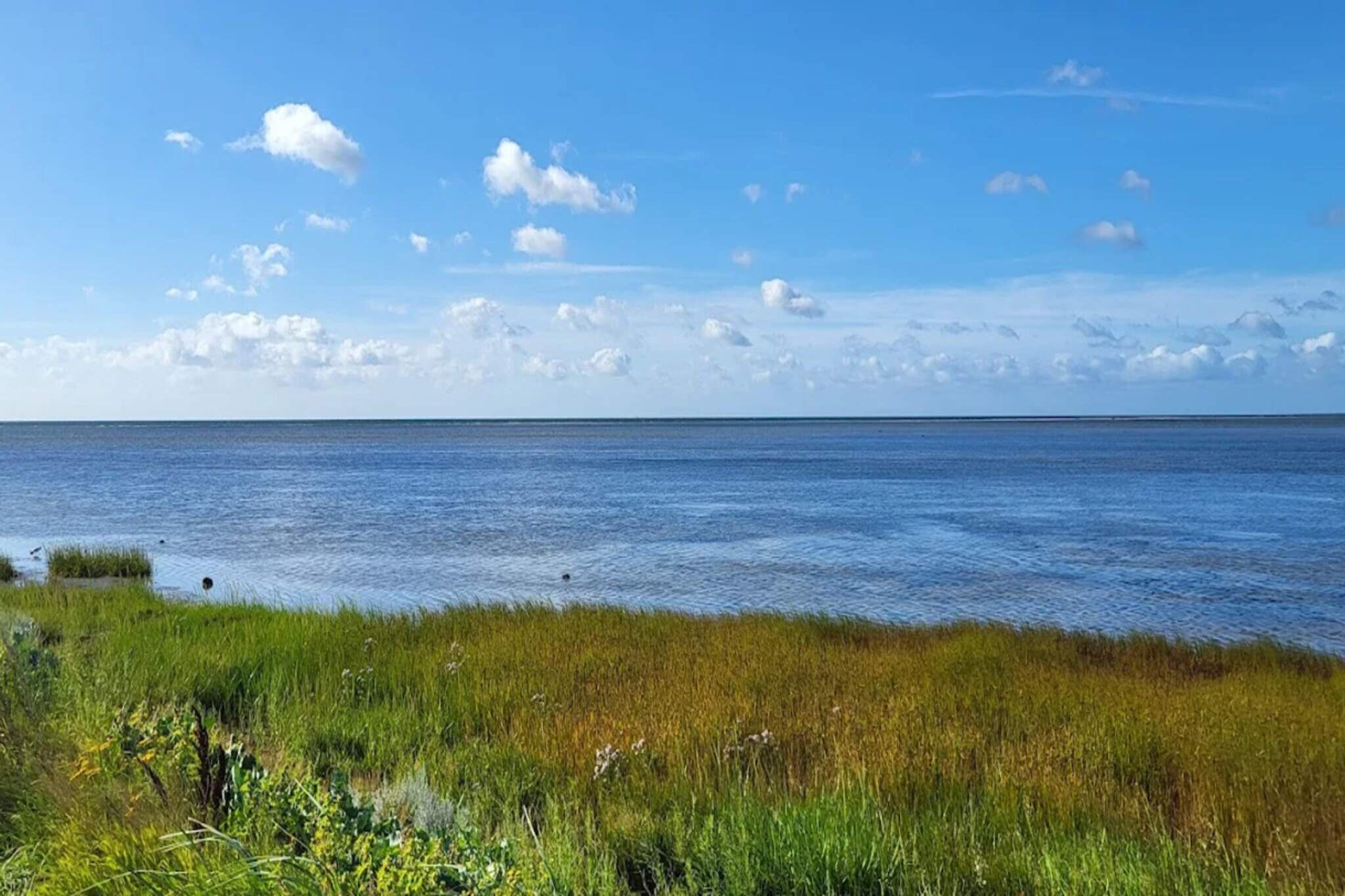 Lichte kustschuilplaats in LyngsAY-By Traum-Waterzicht