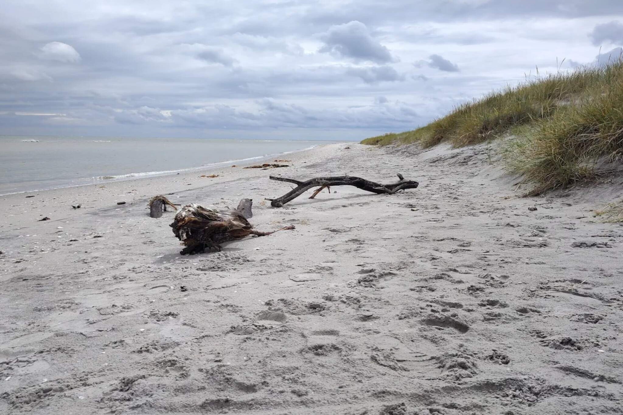 Lichte kustschuilplaats in LyngsAY-By Traum-Waterzicht
