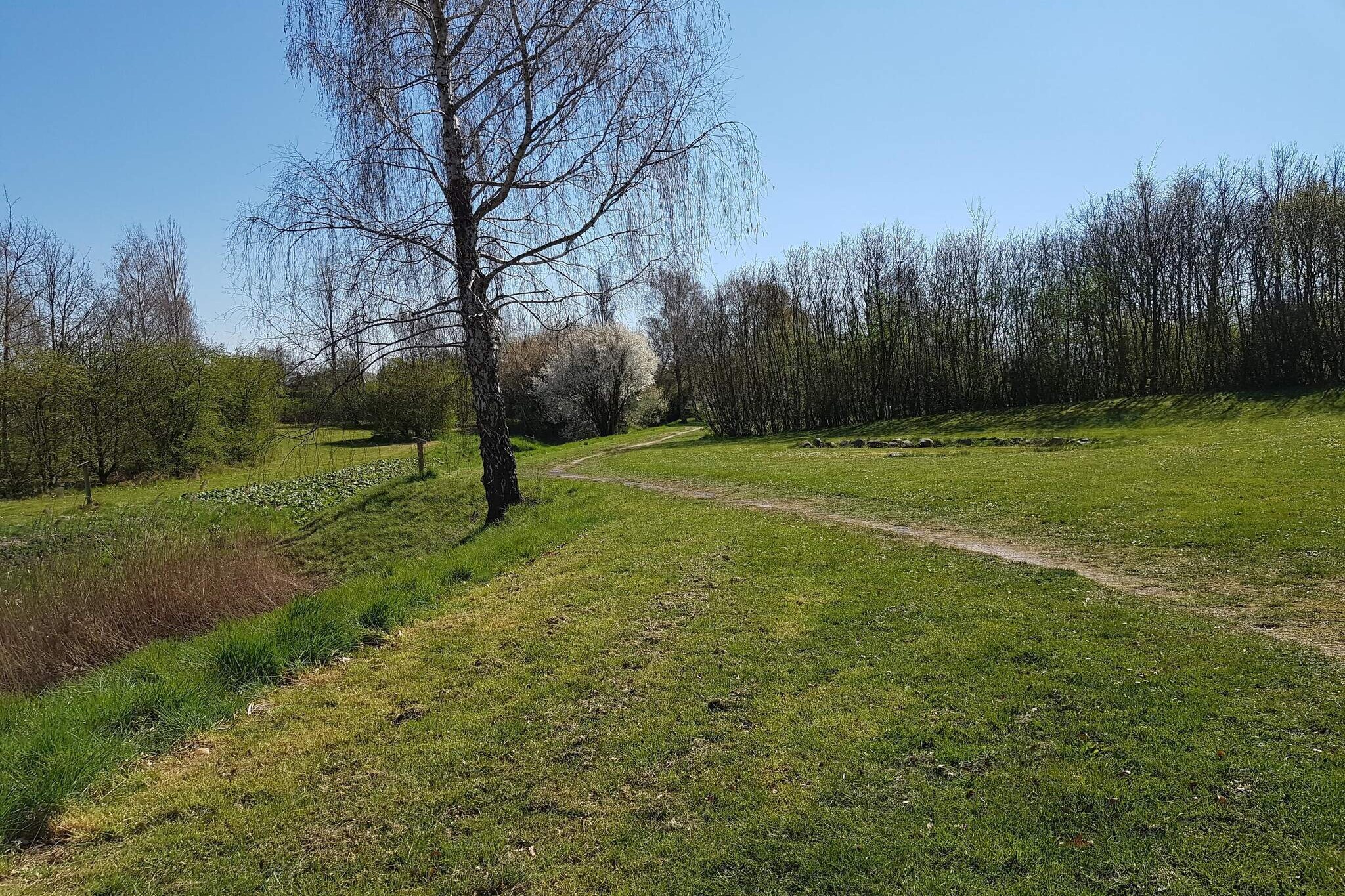 5 persoons vakantie huis in Holeby-Niet-getagd