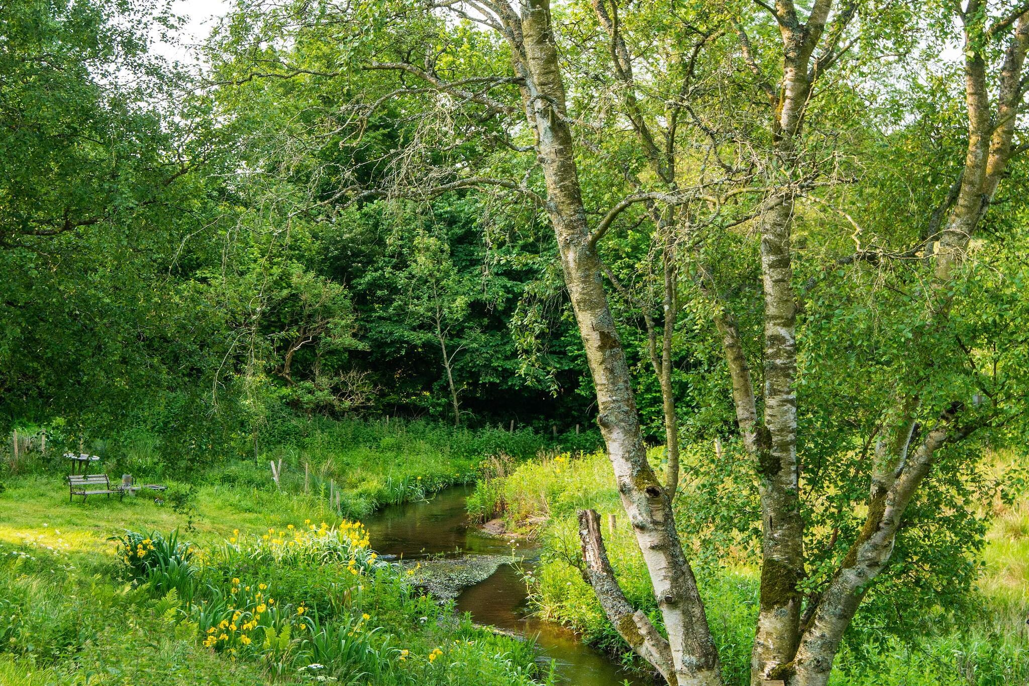 Retraite tranquille au bord de la rivière - Extérieur