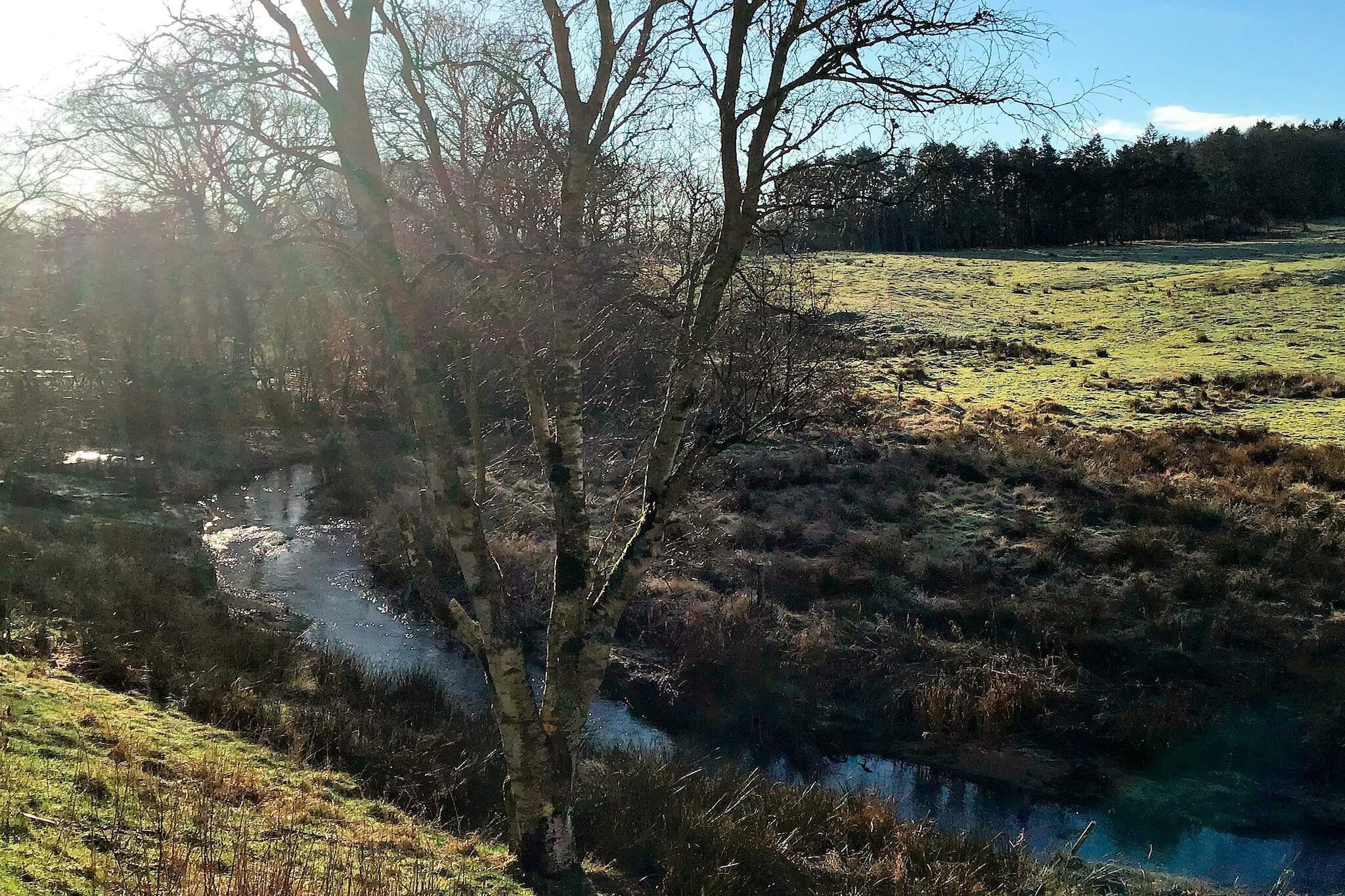 Retraite tranquille au bord de la rivière - Extérieur