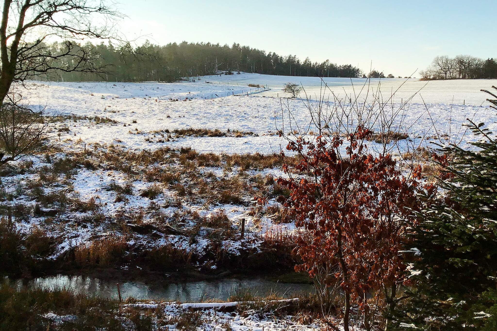 Retraite tranquille au bord de la rivière - Extérieur
