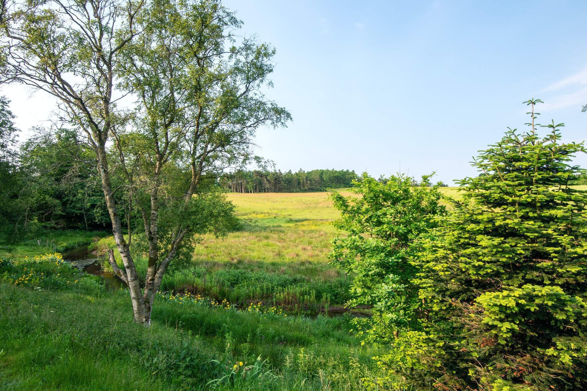 Retraite tranquille au bord de la rivière - Vue sur l'eau