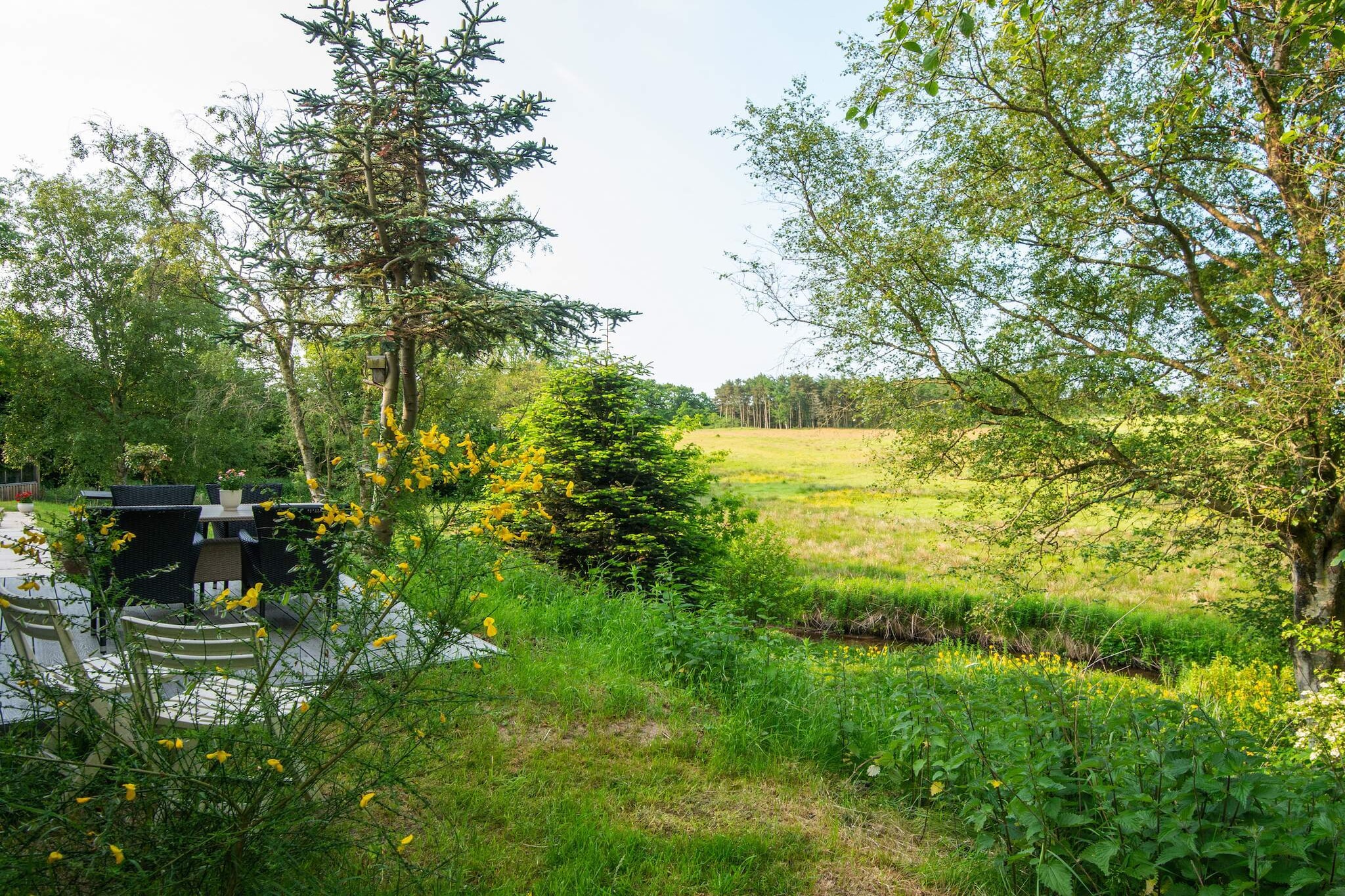 Retraite tranquille au bord de la rivière - Vue
