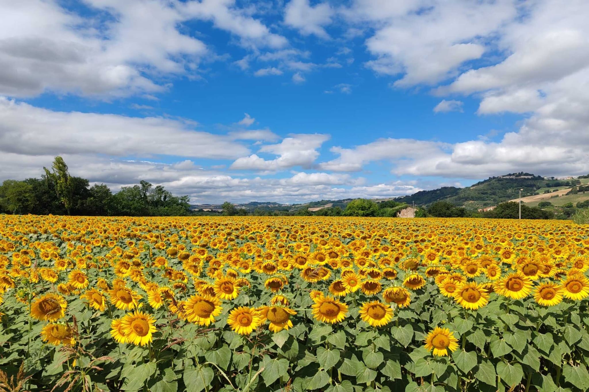 La Cantinaia Botte-Zones été à 1 km