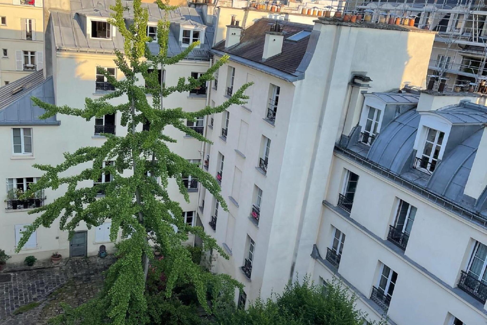 France