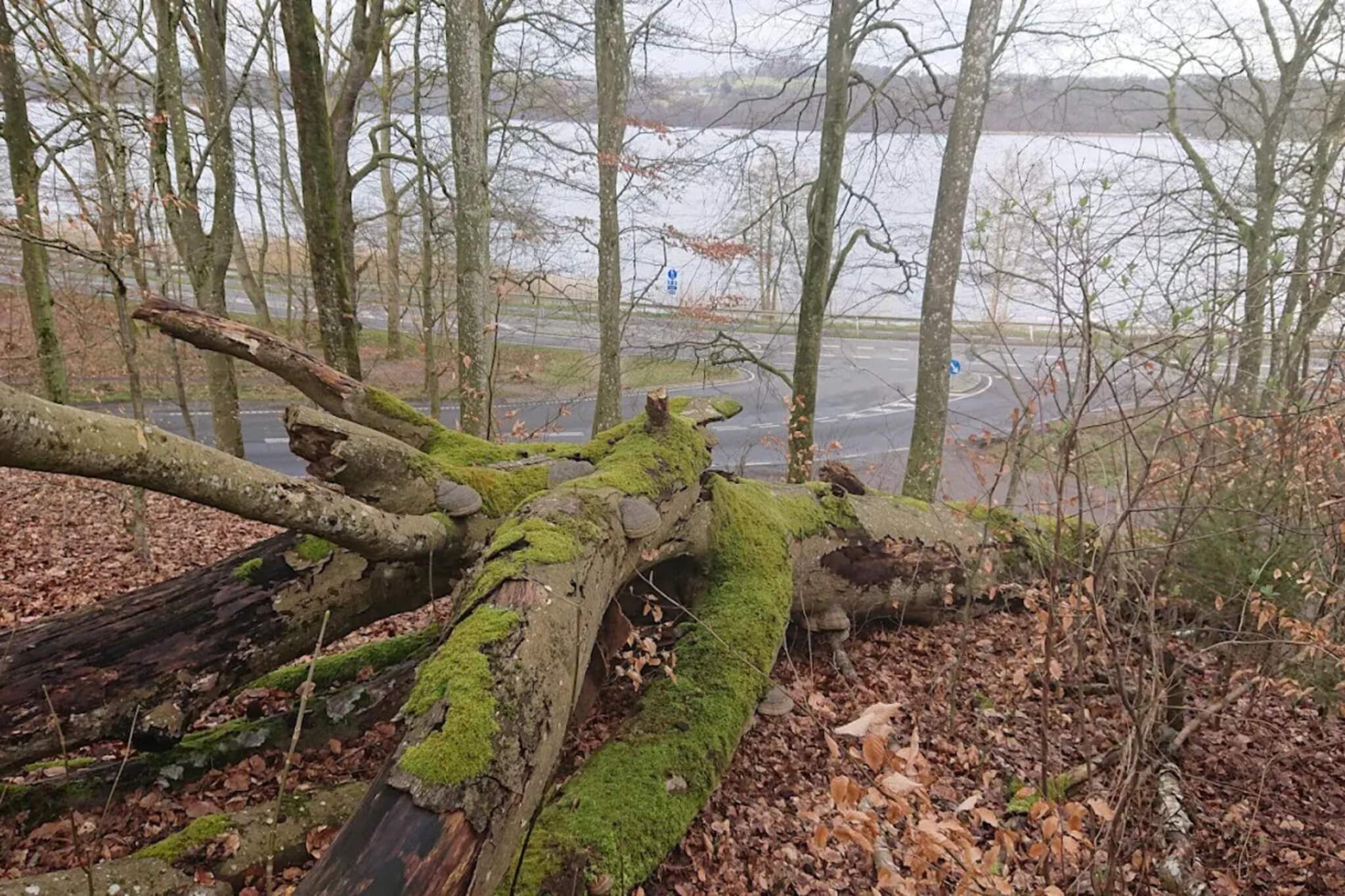Tranquil Lakeside Retreat in Ry-By Traum-Water view