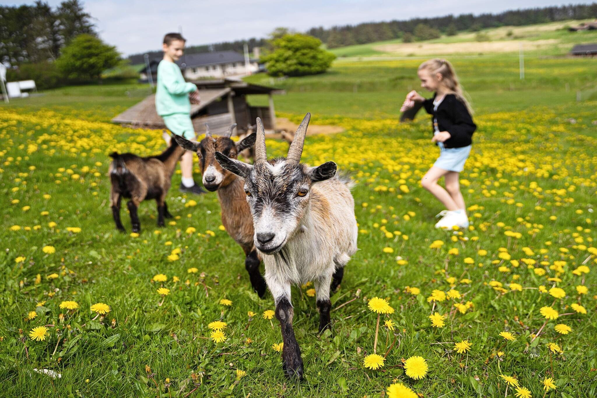 6 Personen Ferienhaus auf einem Ferienpark Hanstholm-Nicht getaggt