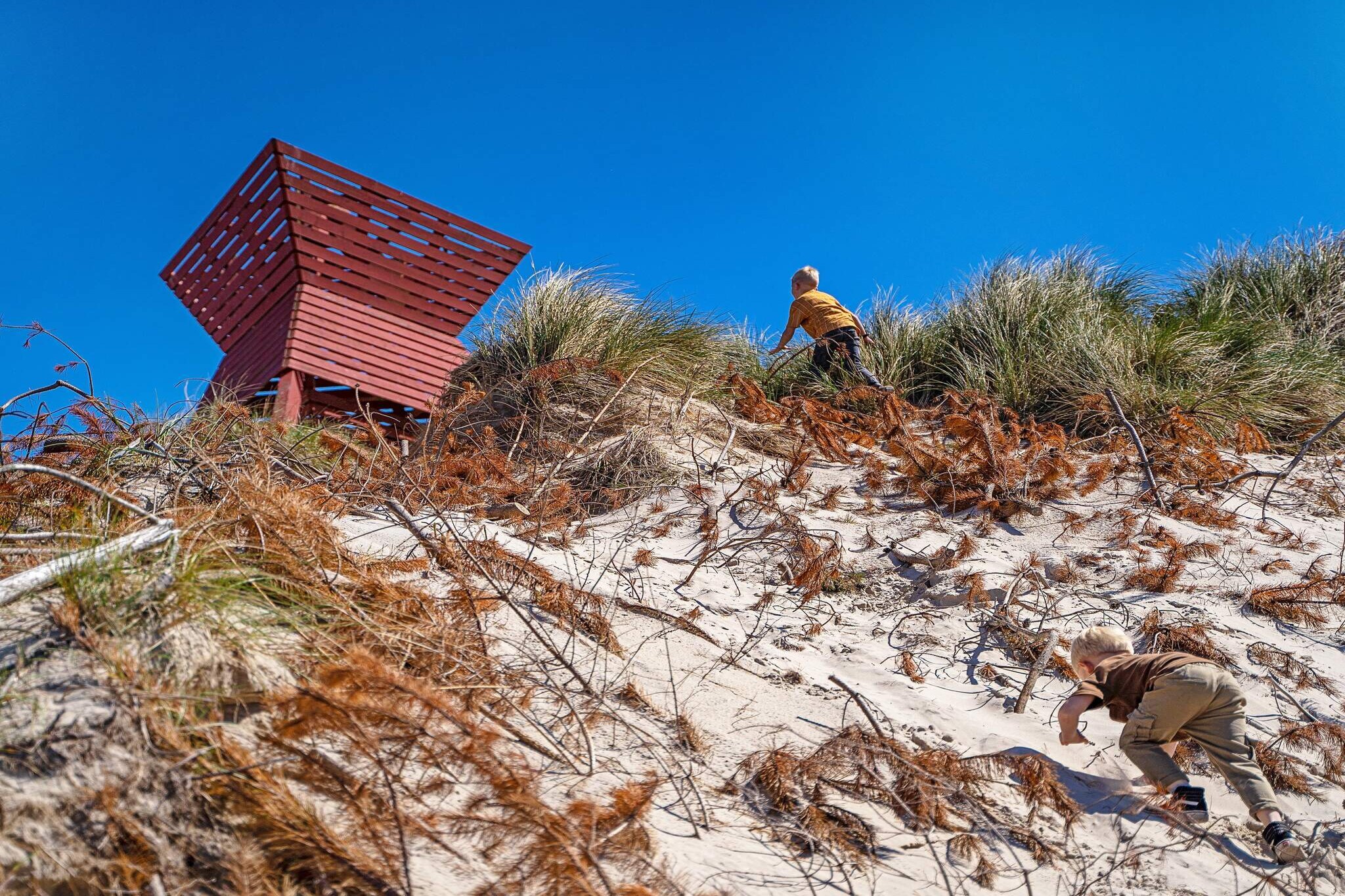 4 person holiday home on a holiday park in Blokhus