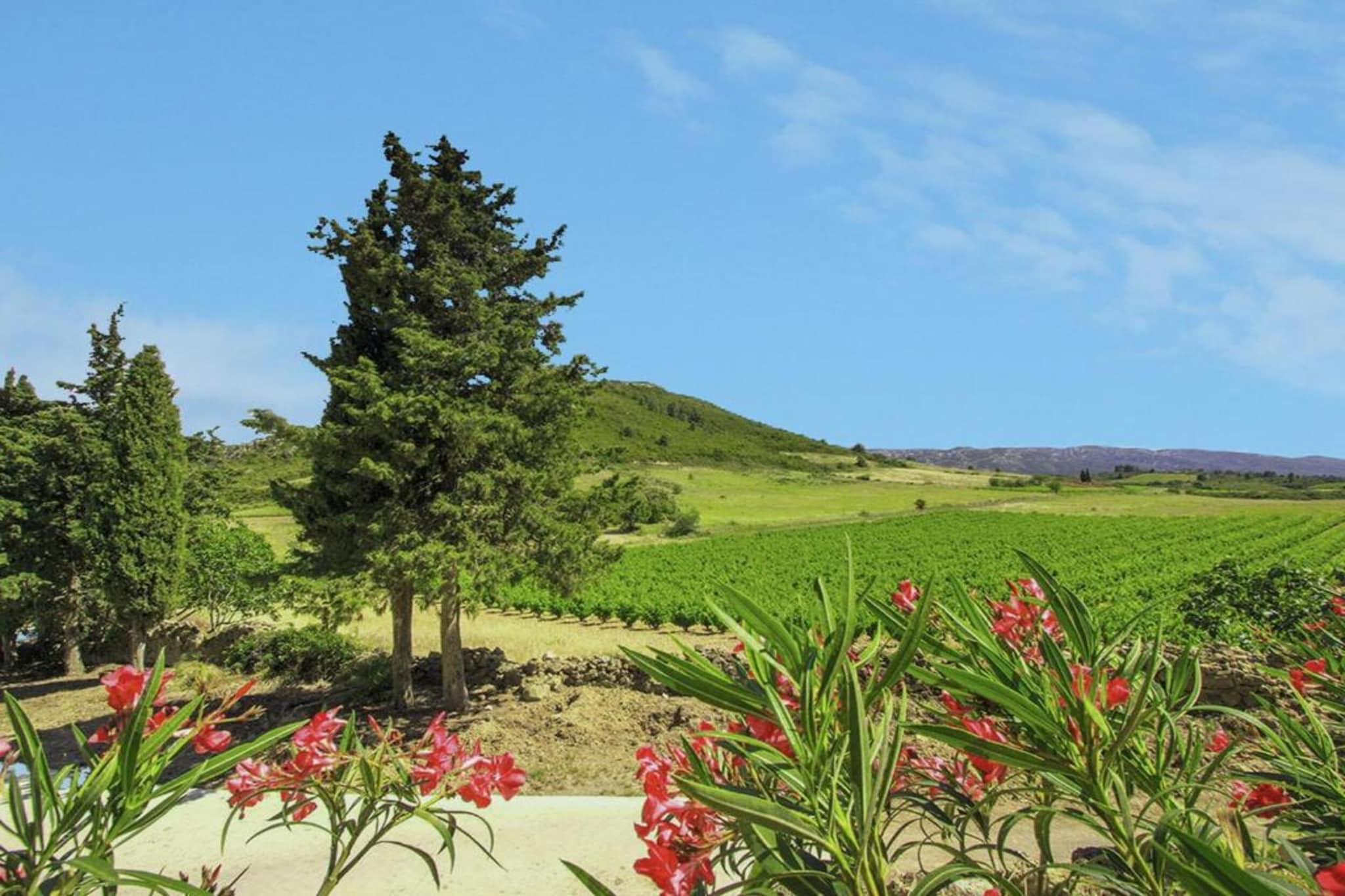Gîte de luxe dans les vignes 1-Areas summer 20km