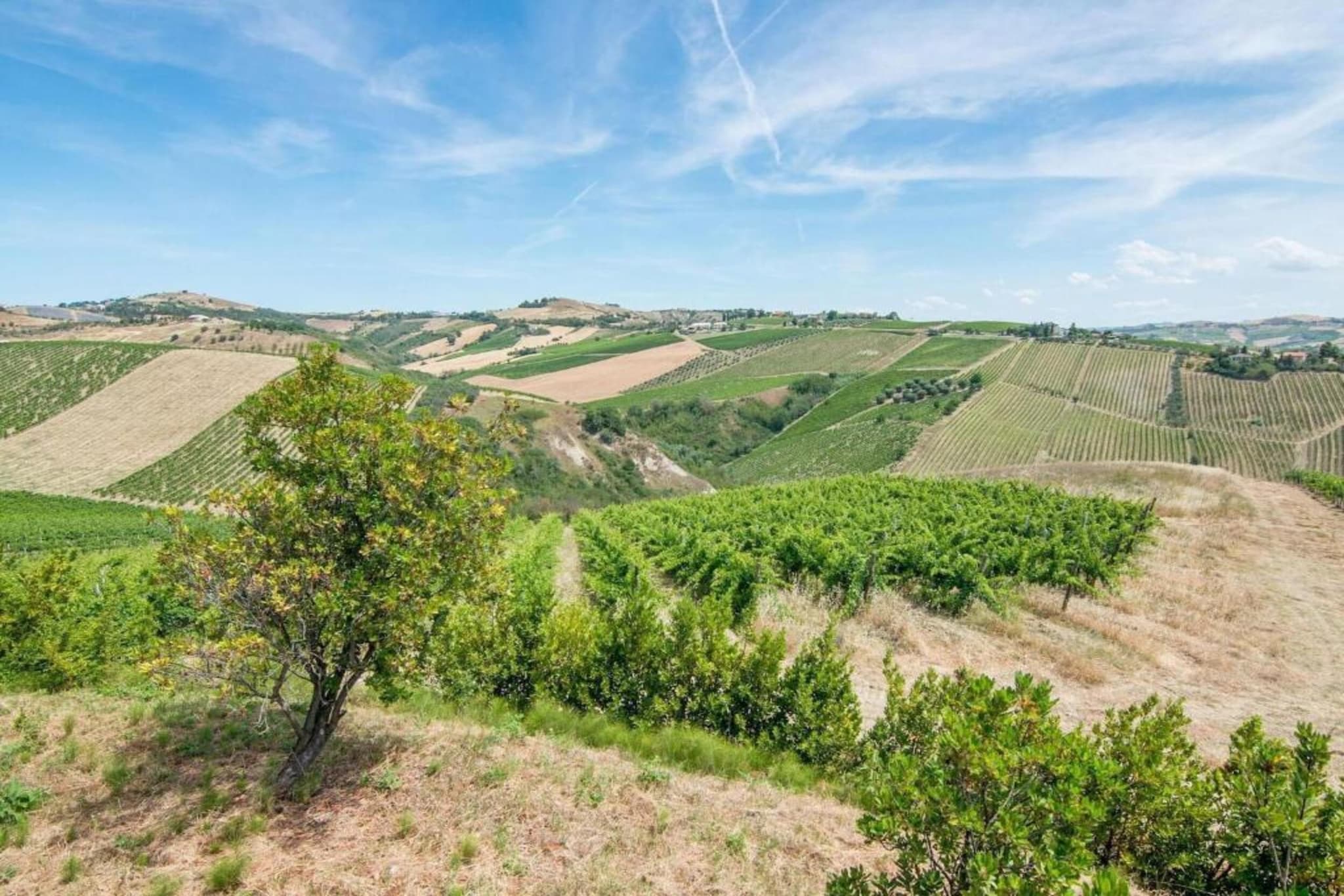 Menta-Zones d'été à 5 km