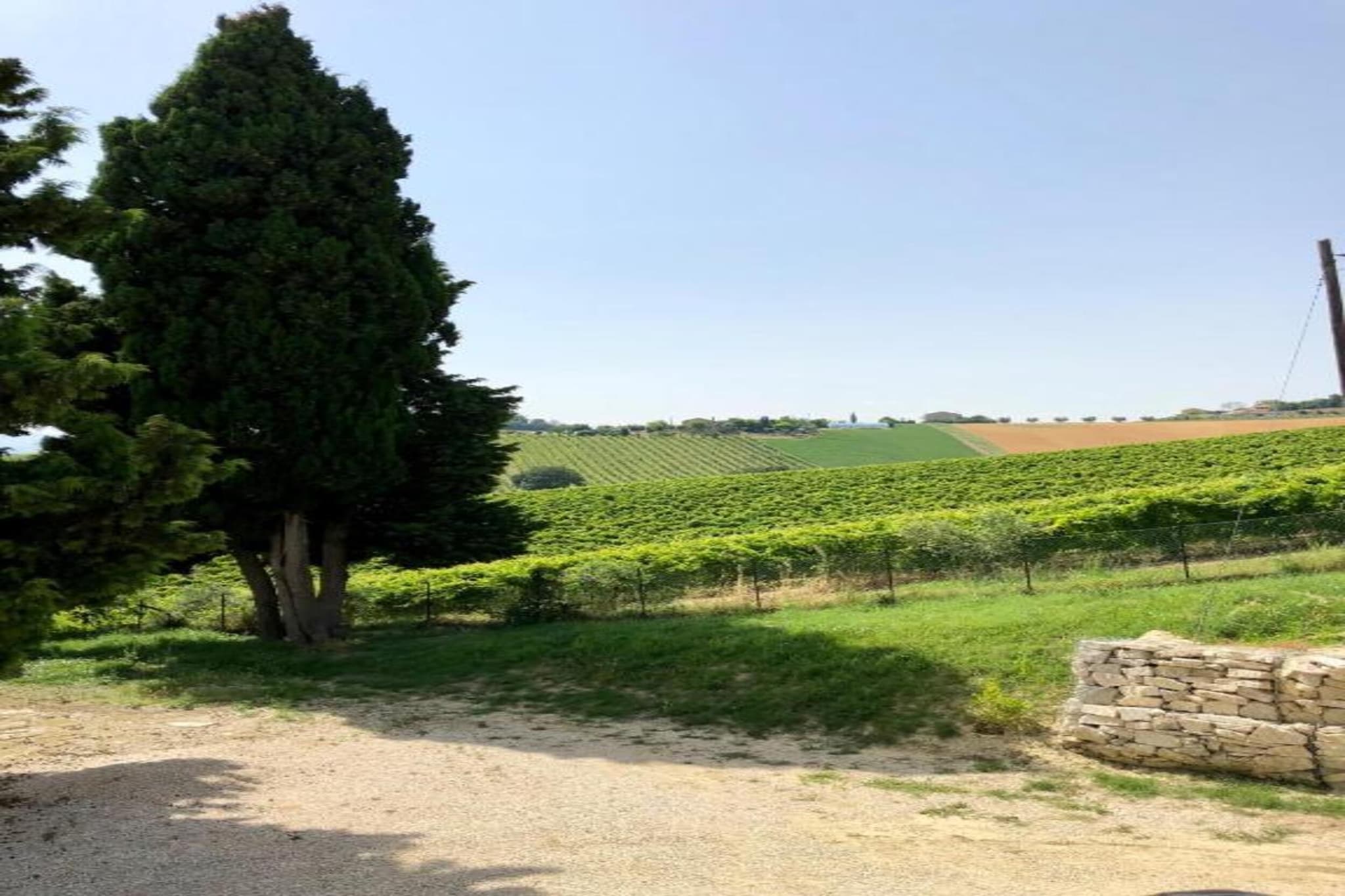 Lavanda-Gebieden zomer 5km