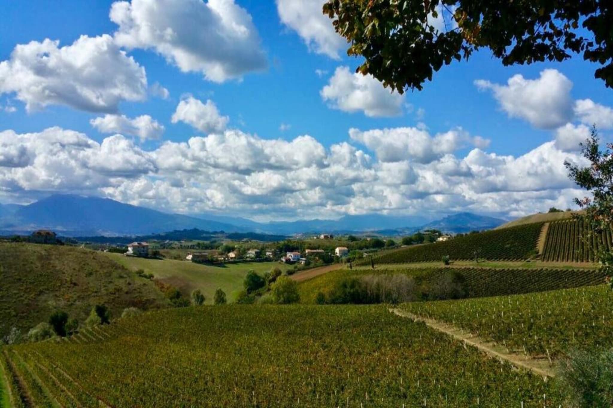 Peperoncino-Zones d'été à 5 km