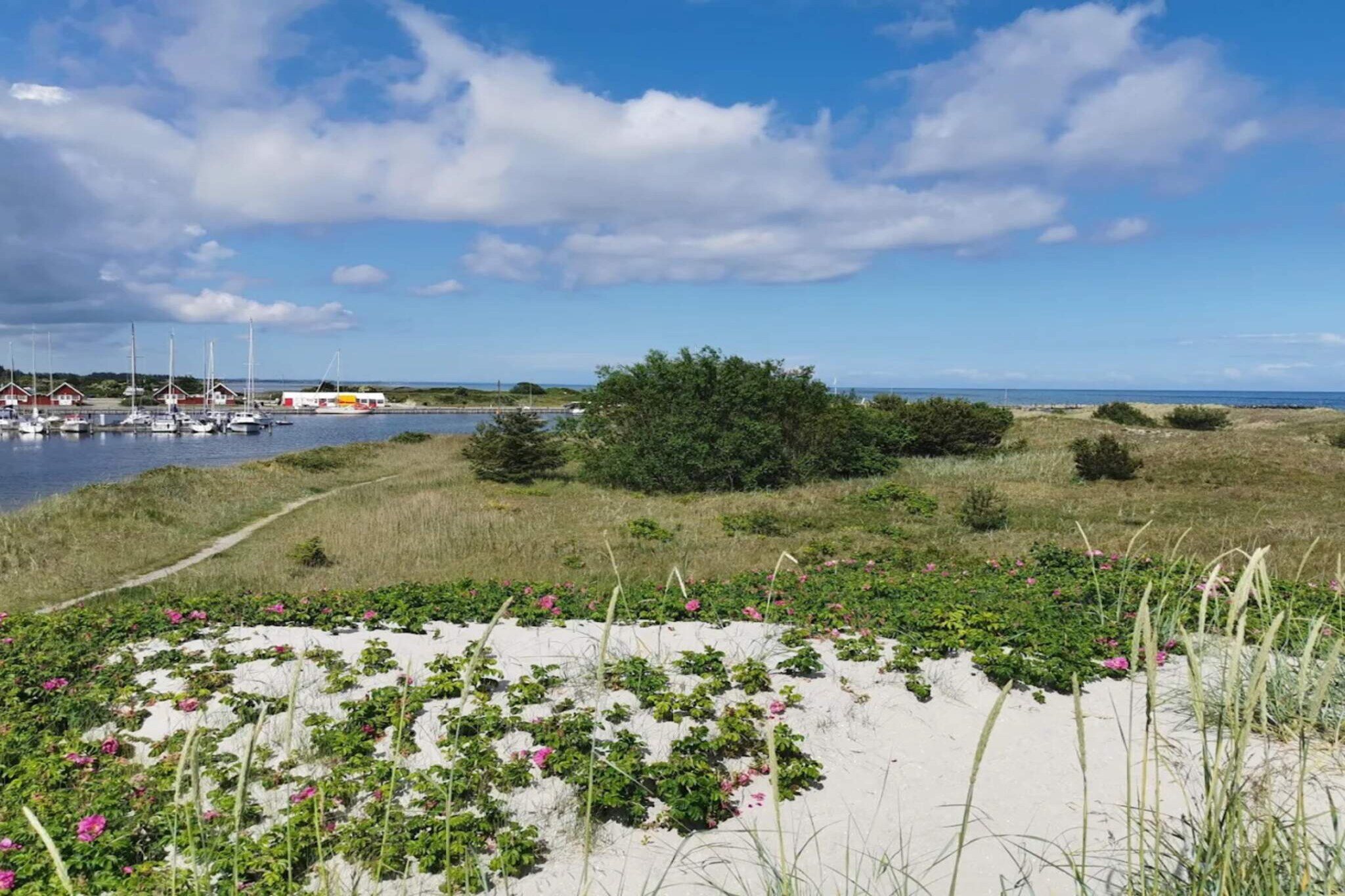 4 persoons vakantie huis in Hals-Waterzicht