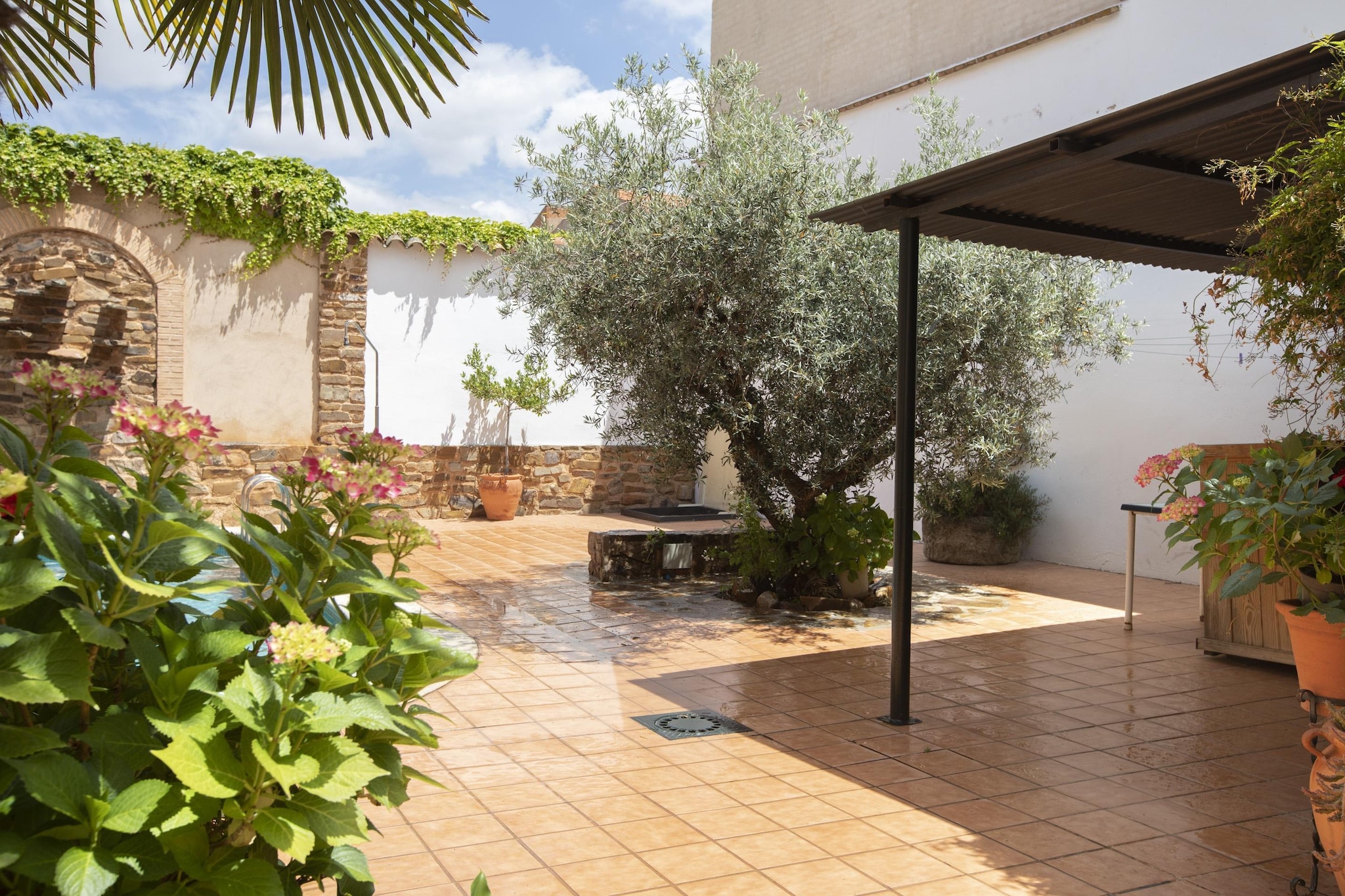 Terrace Balcony