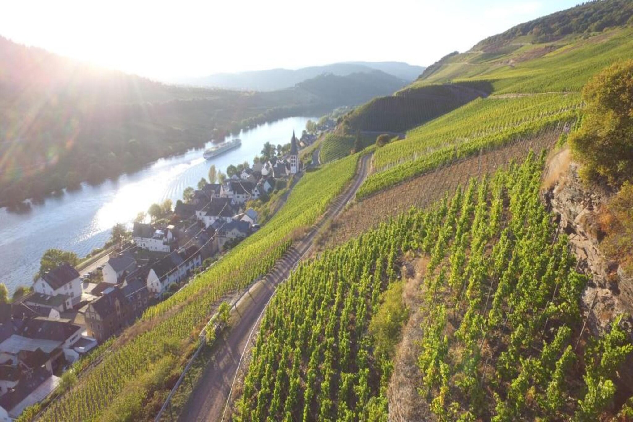 Ferienresort Cochem 33-Gebieden zomer 20km