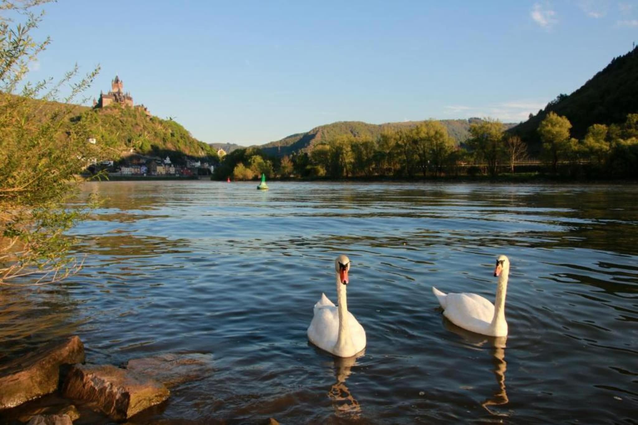 Ferienresort Cochem 34-Areas summer 20km