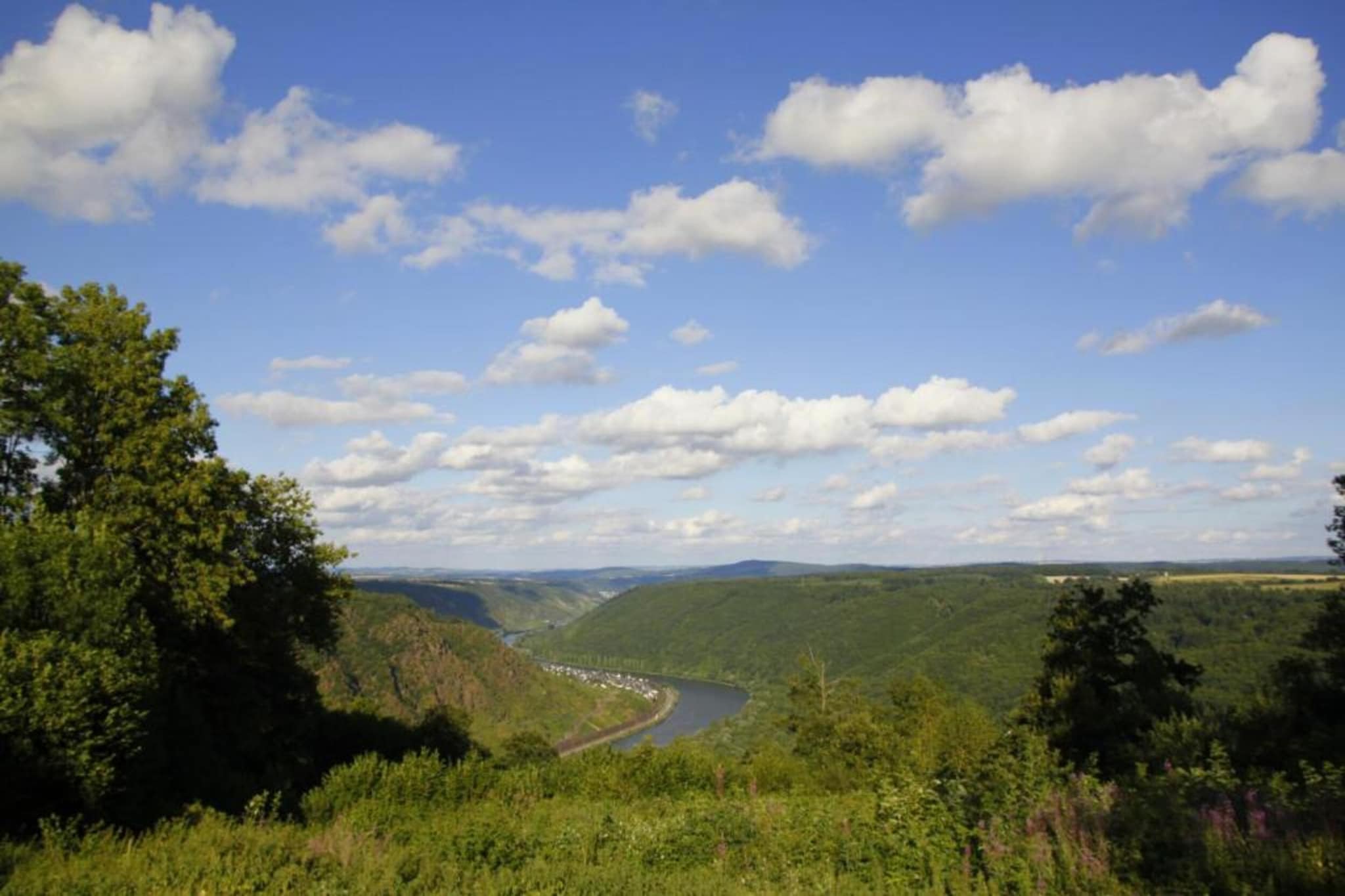 Ferienresort Cochem 34-Areas summer 20km