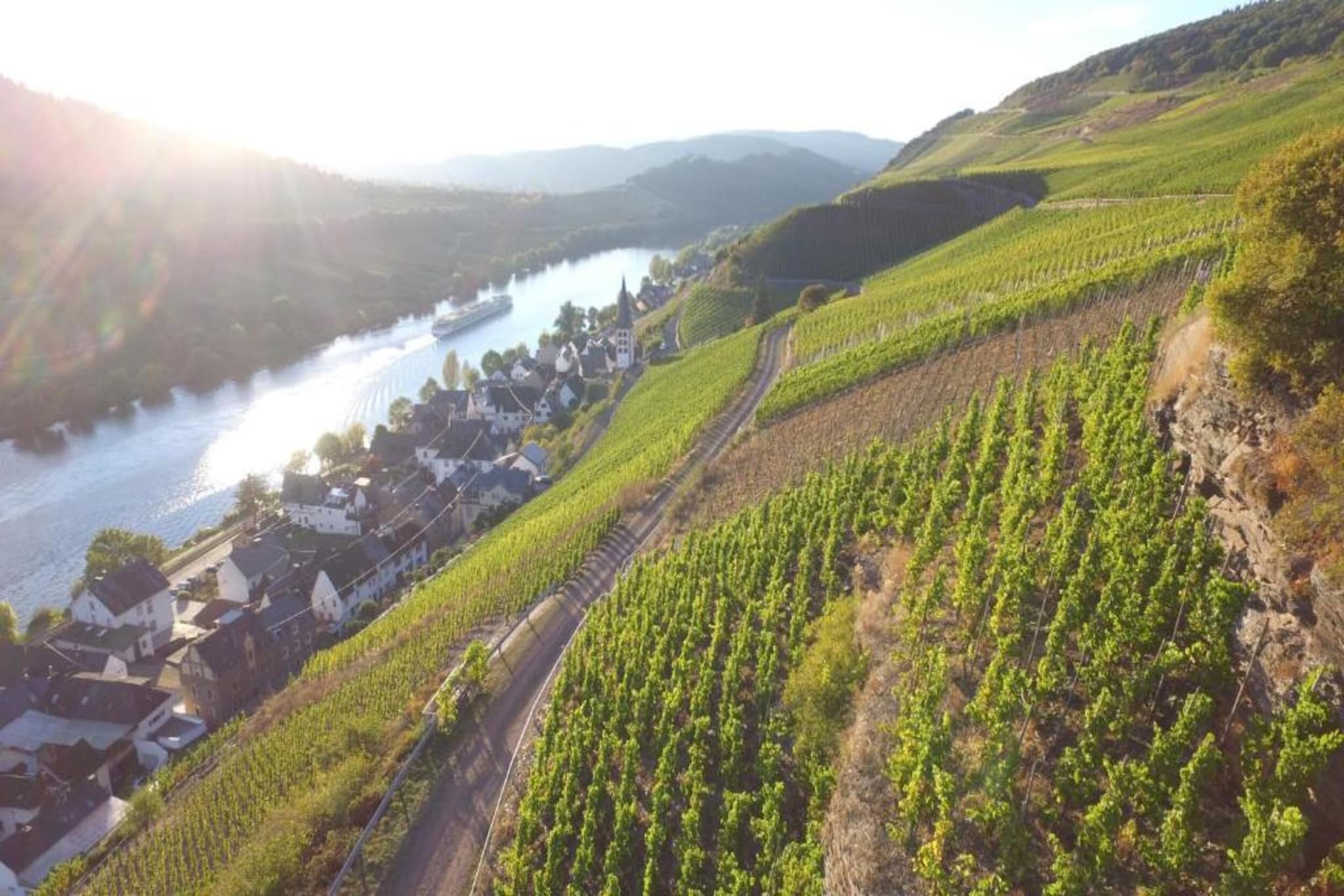 Ferienresort Cochem 34-Areas summer 20km