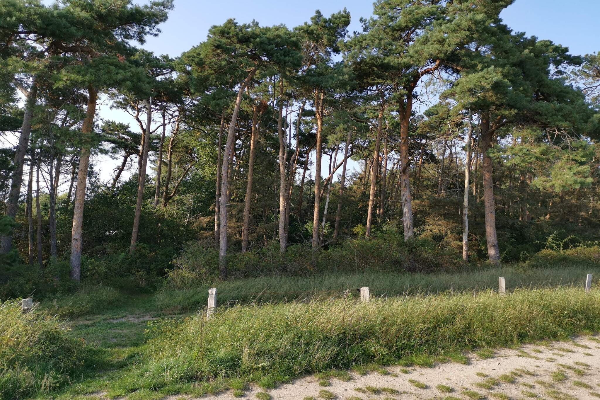 8 persoons vakantie huis in Idestrup-Niet-getagd