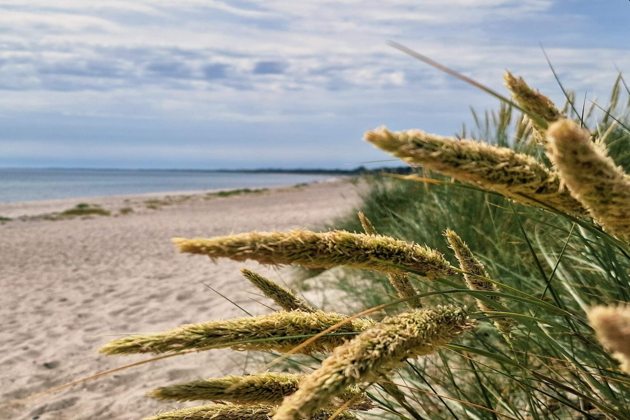 8 persoons vakantie huis in Idestrup-Waterzicht