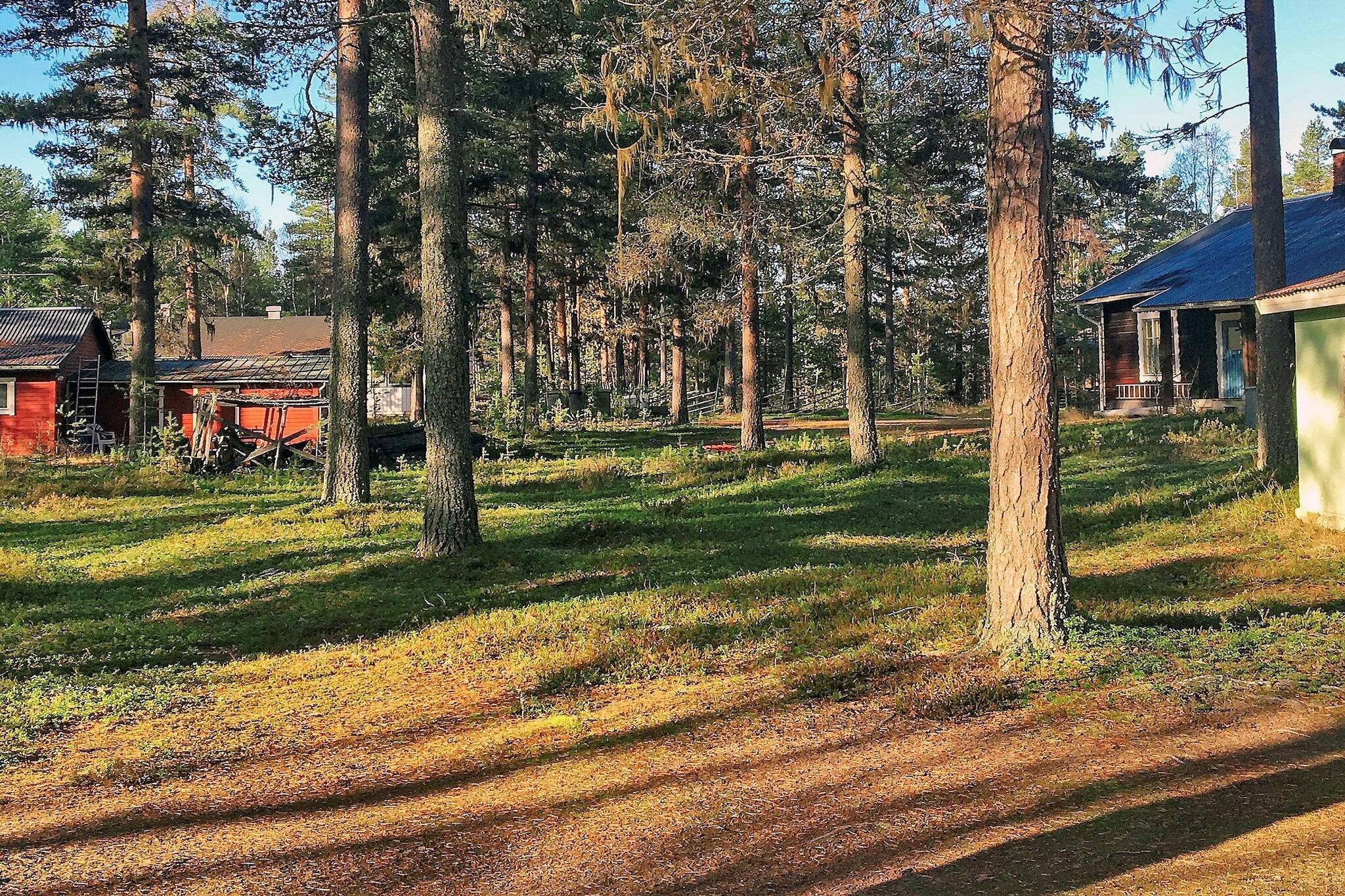 Vintage Forest Retreat-By Traum