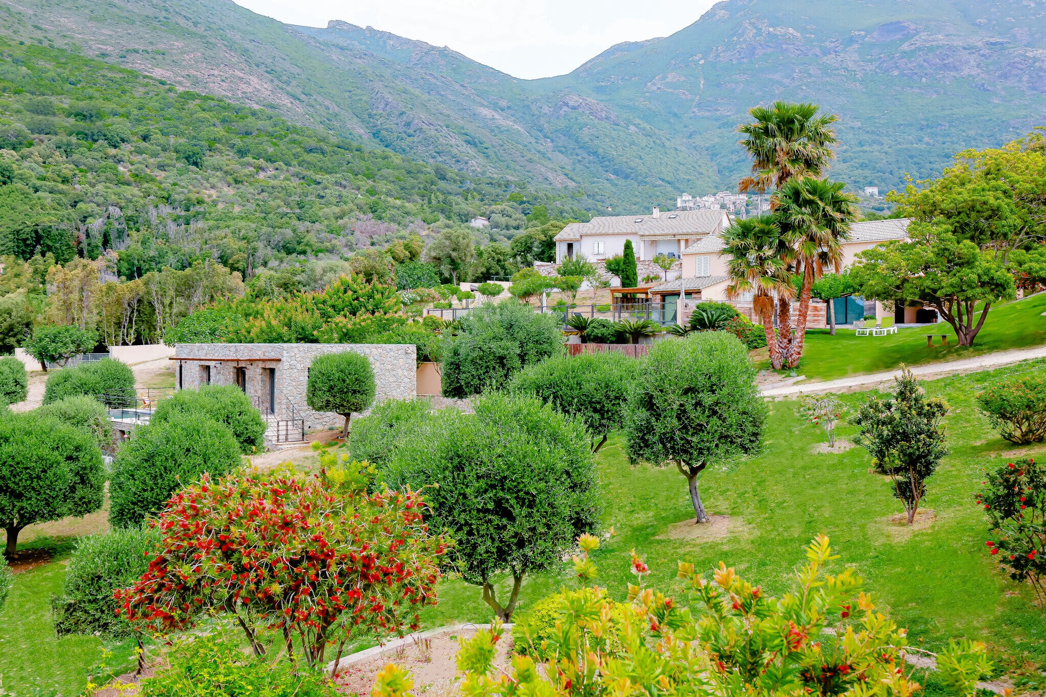 Villas accueillantes avec piscine près de Saint-Florent au Cap Corse