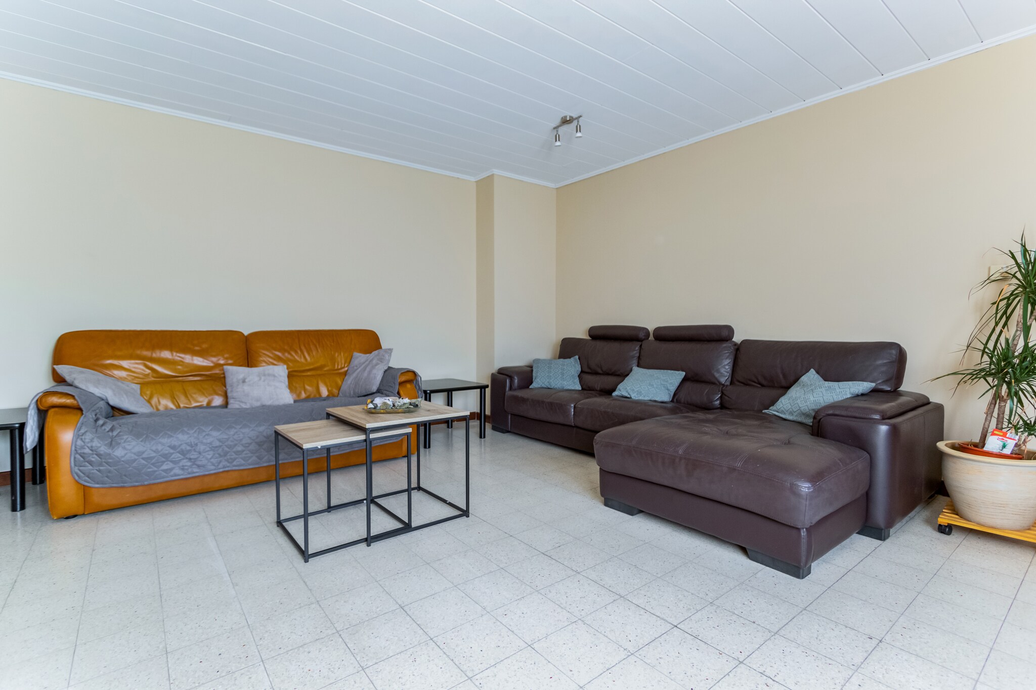Vakantiehuis Geluveld max. 10 personen 5 slaapkamers #2