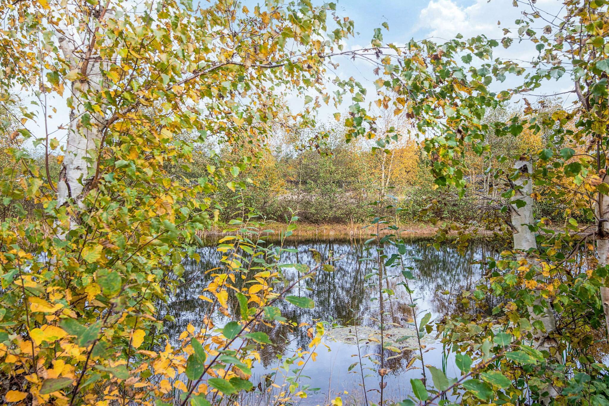 14 persoons vakantie huis in Glesborg-Uitzicht