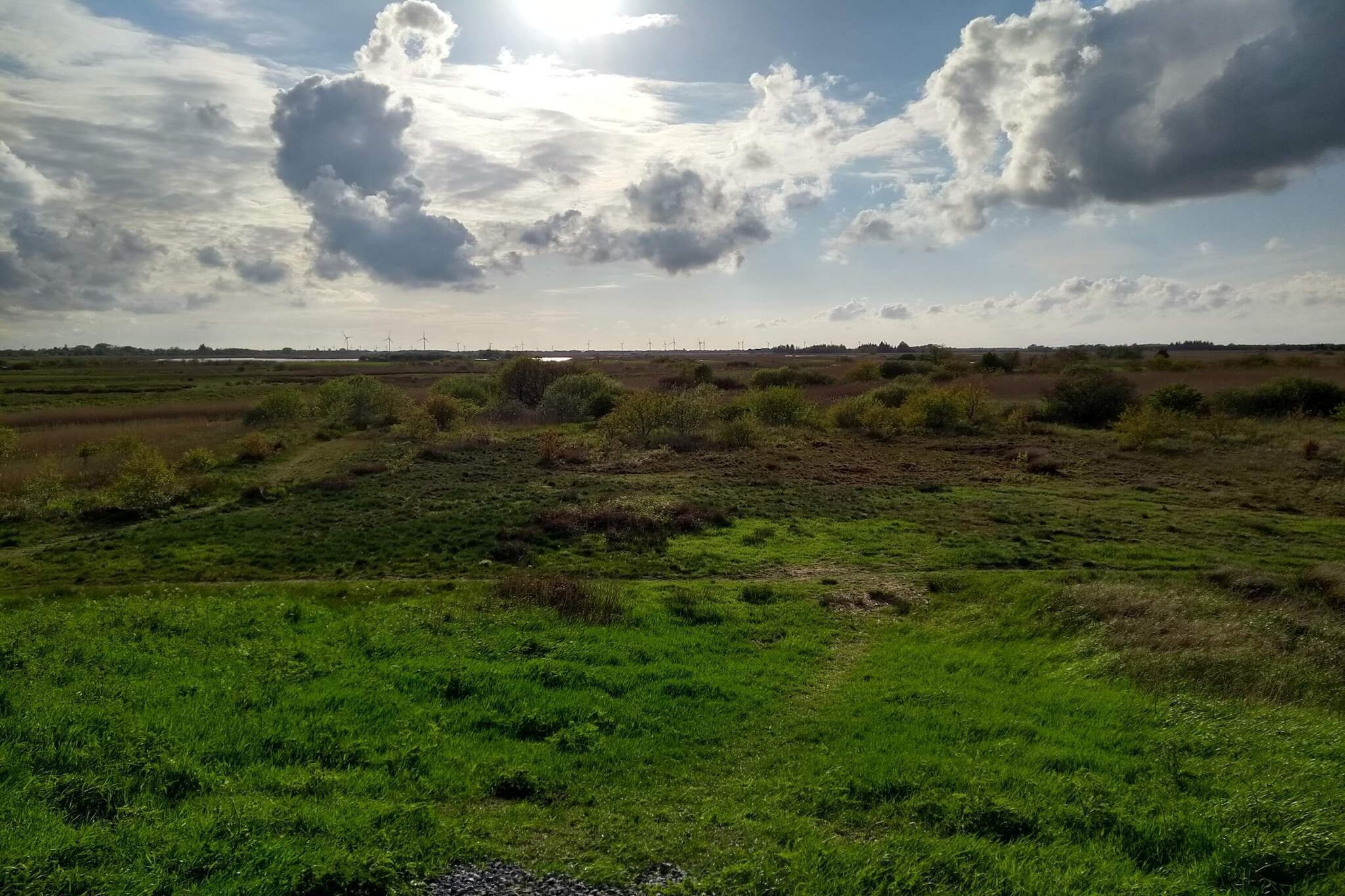 12 person holiday home in Højer