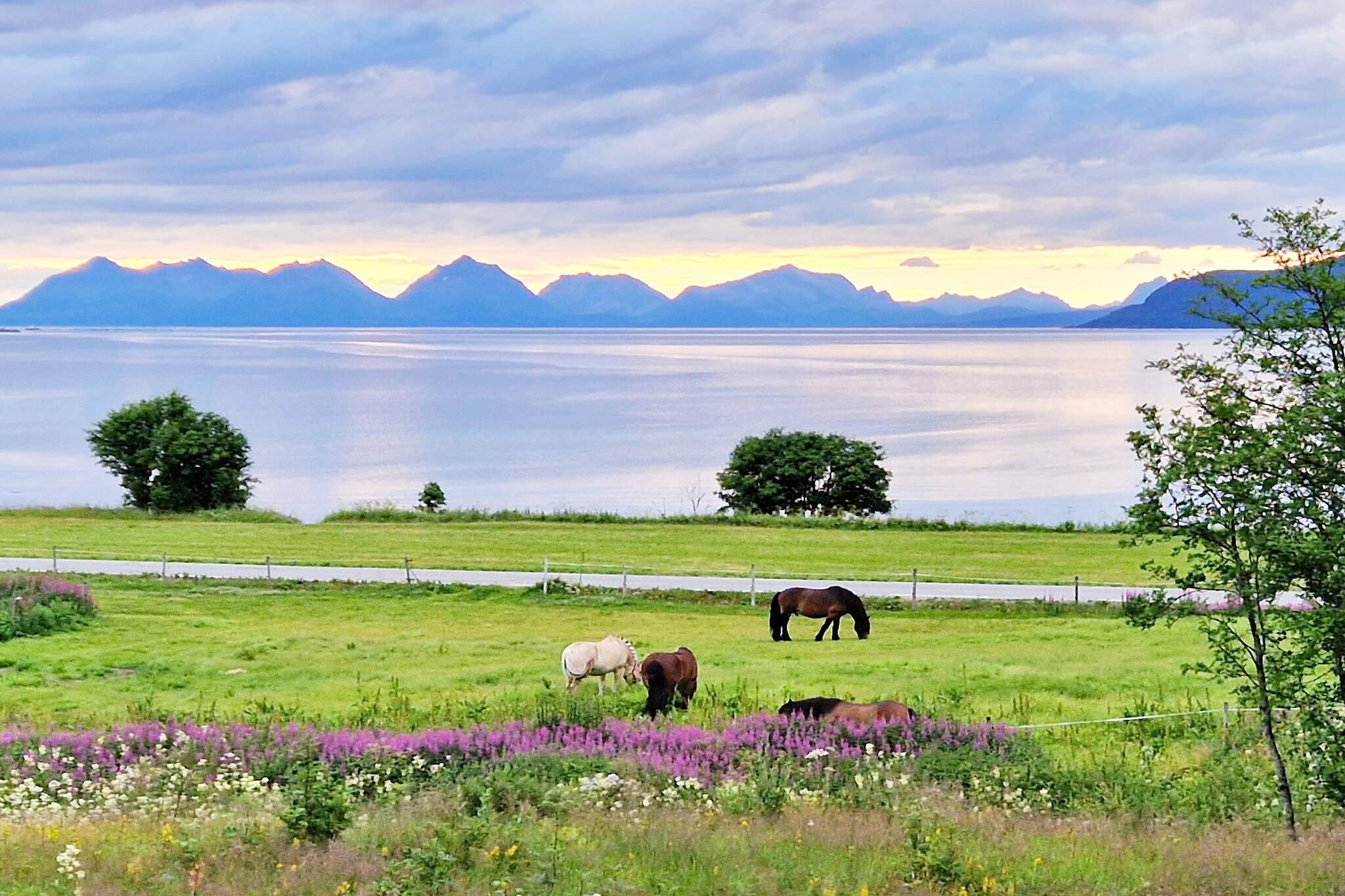 6 persoons vakantie huis in Hamnvik-Niet-getagd