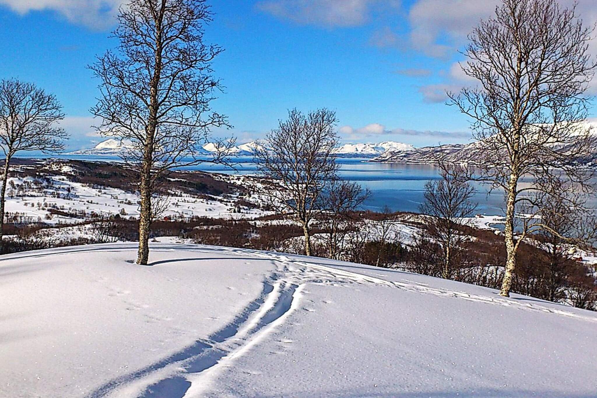 6 person holiday home in Hamnvik - Untagged