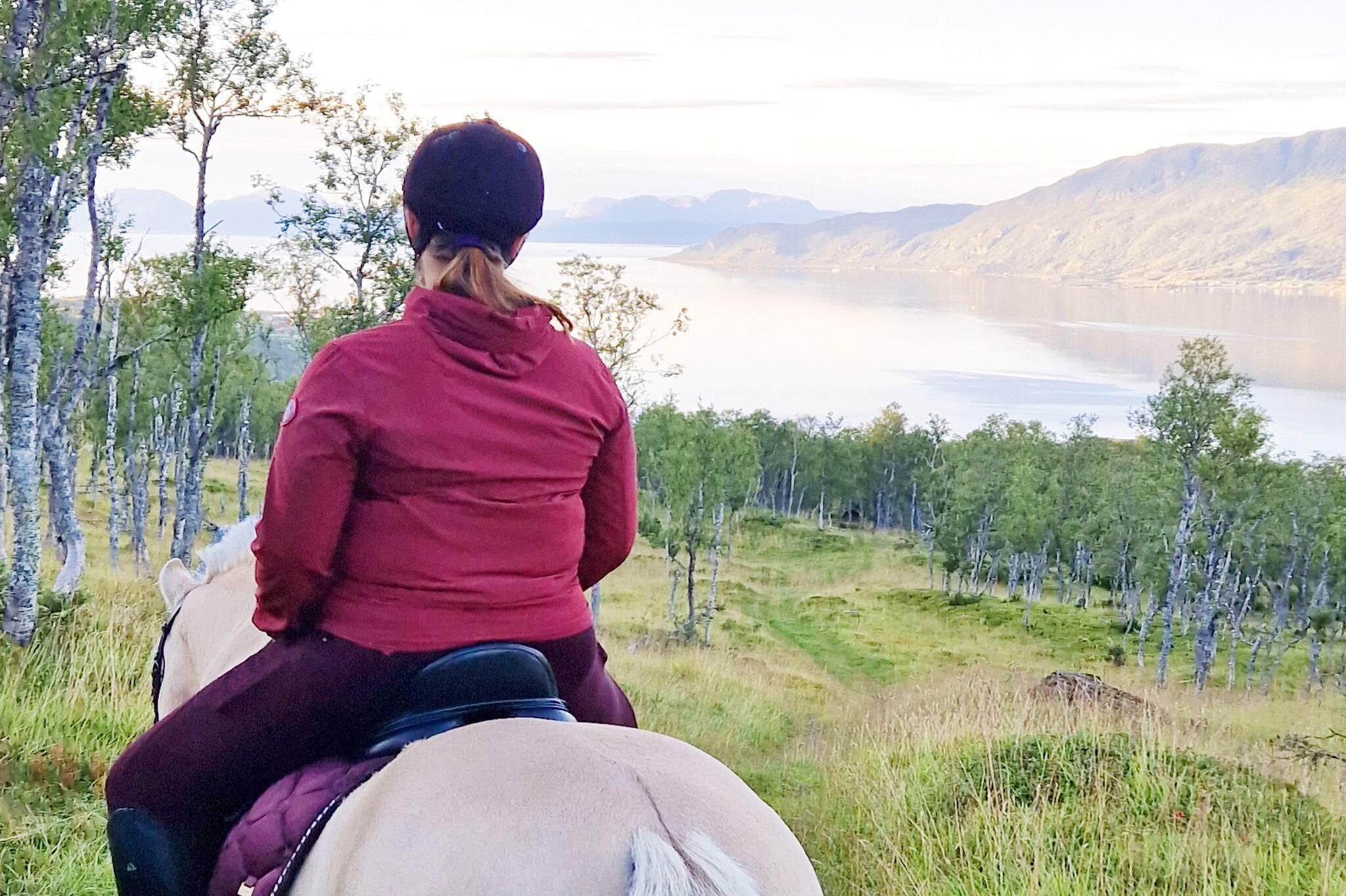 6 person holiday home in Hamnvik - Untagged