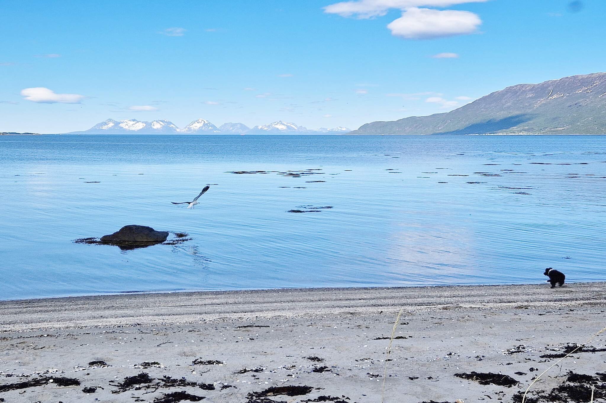 6 person holiday home in Hamnvik - Untagged