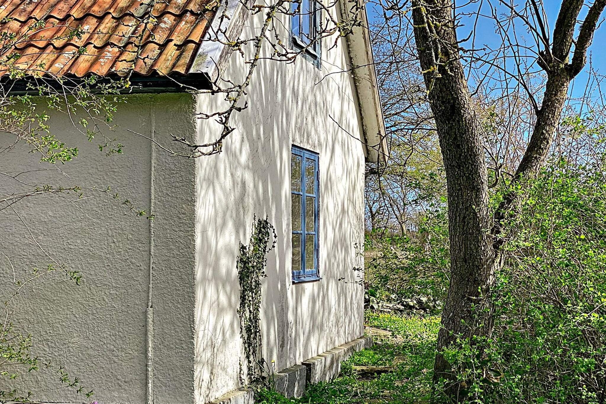Oasis tranquille dans le nord d  oland-By Traum