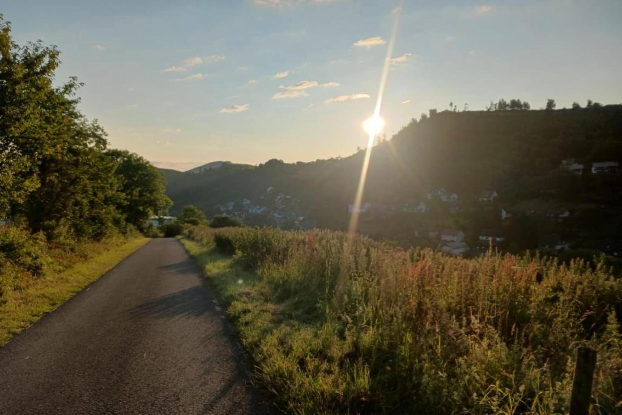 Mühlenberg-Gebieden zomer 5km