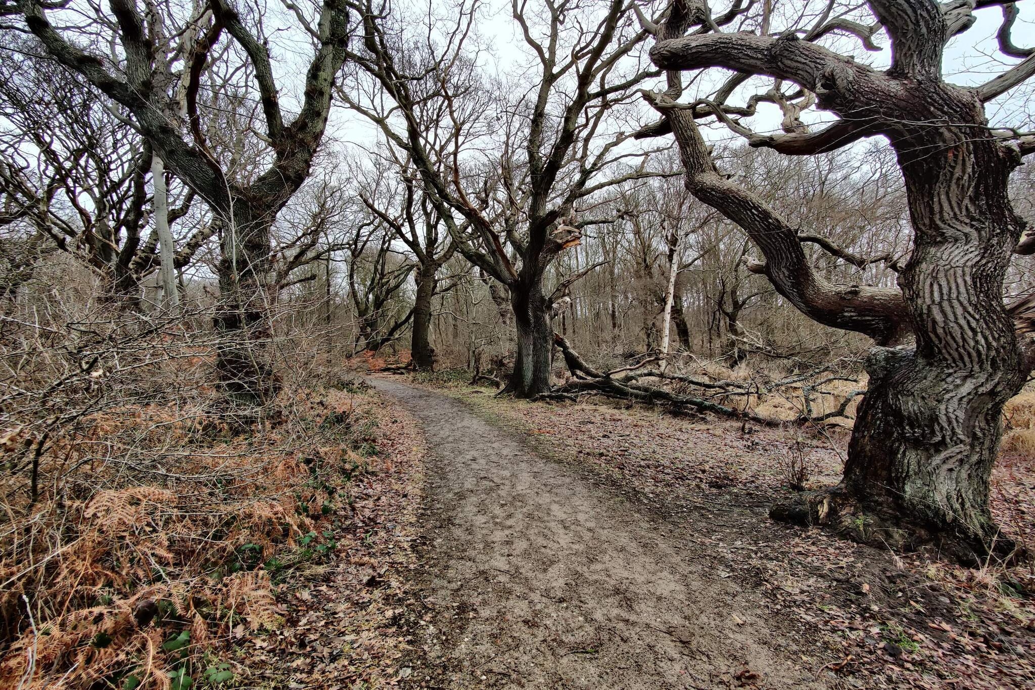 Kustparadijs in Stoense-By Traum-Niet-getagd