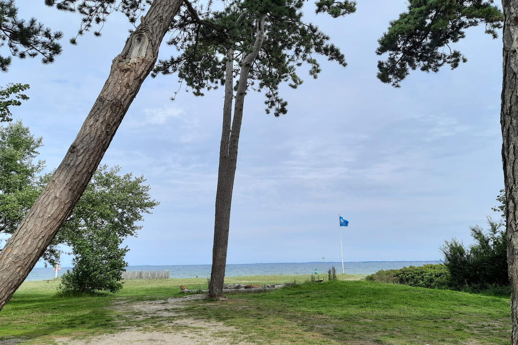 Kustsereniteit in Vejlby Fed-By Traum-Niet-getagd