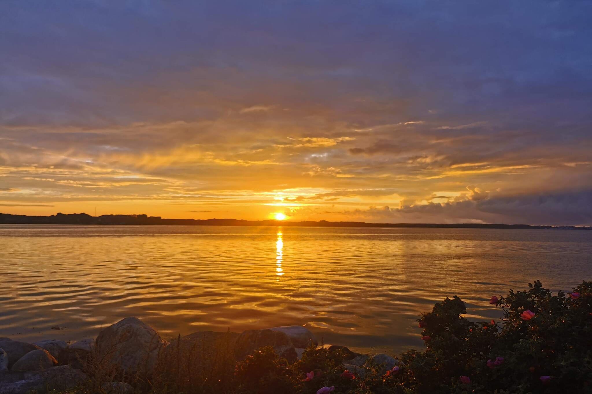 Kustsereniteit in Vejlby Fed-By Traum-Waterzicht