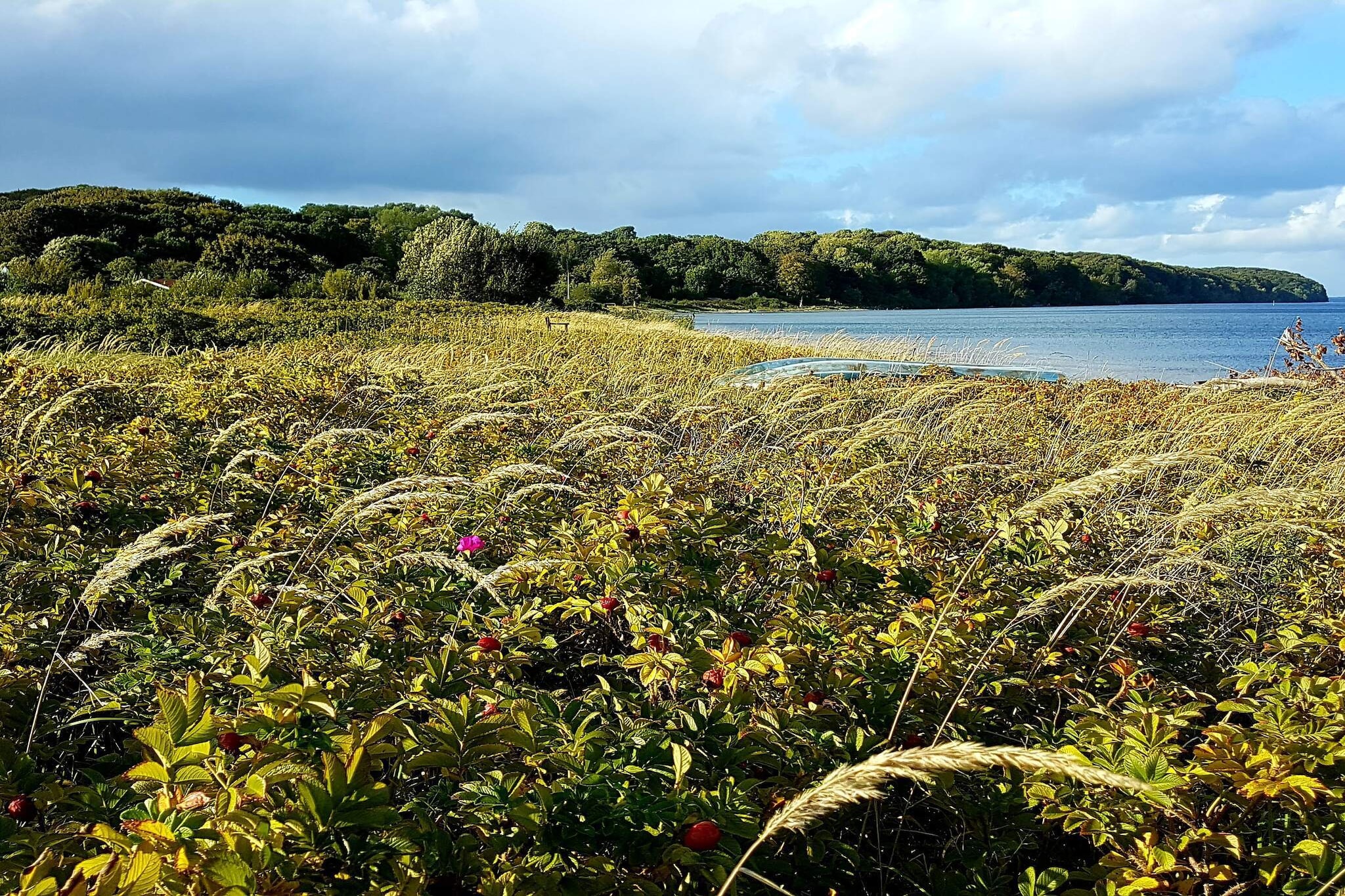 Kustsereniteit in Vejlby Fed-By Traum-Waterzicht