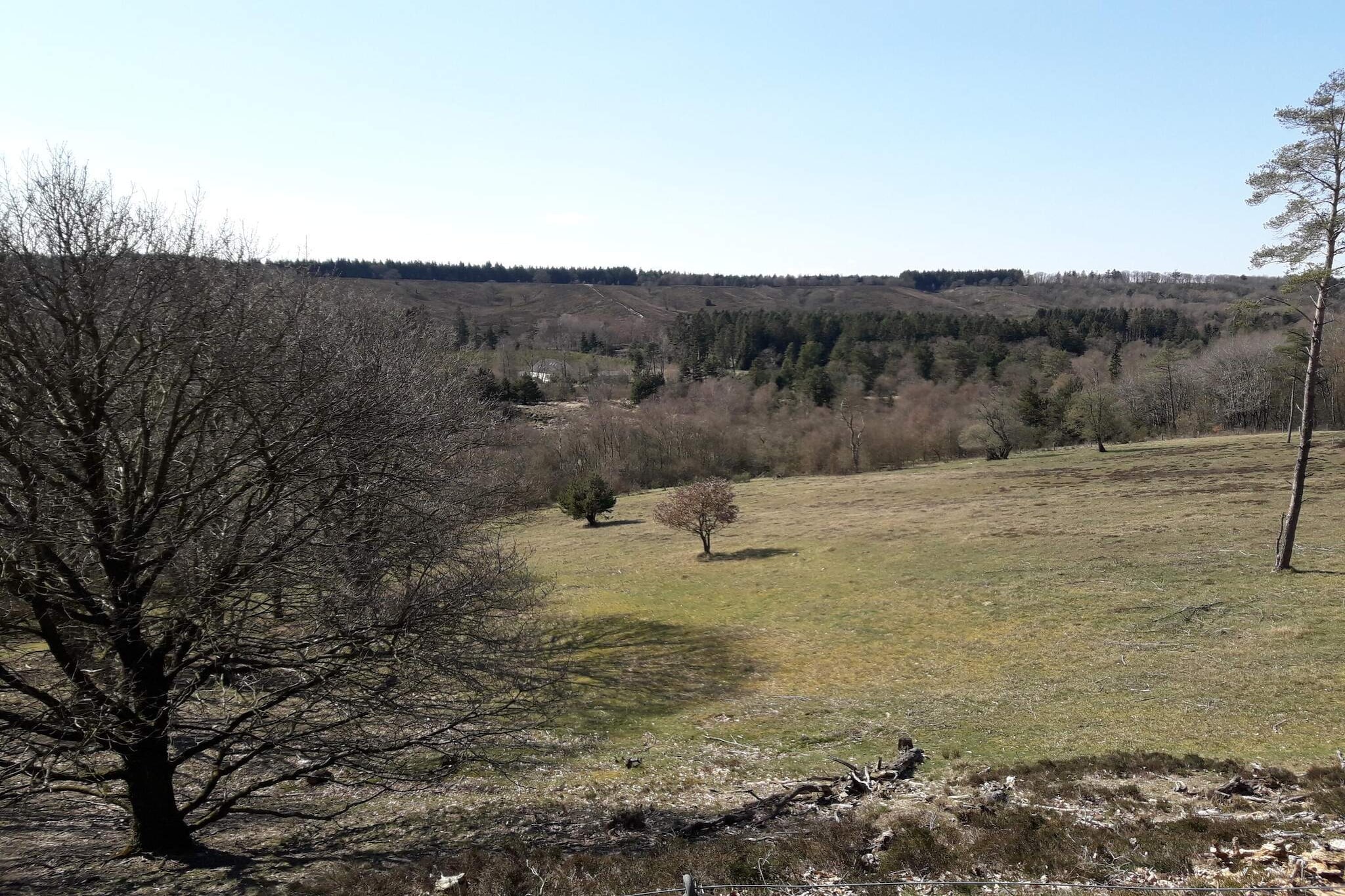 8 persoons vakantie huis in Silkeborg-Buitenlucht
