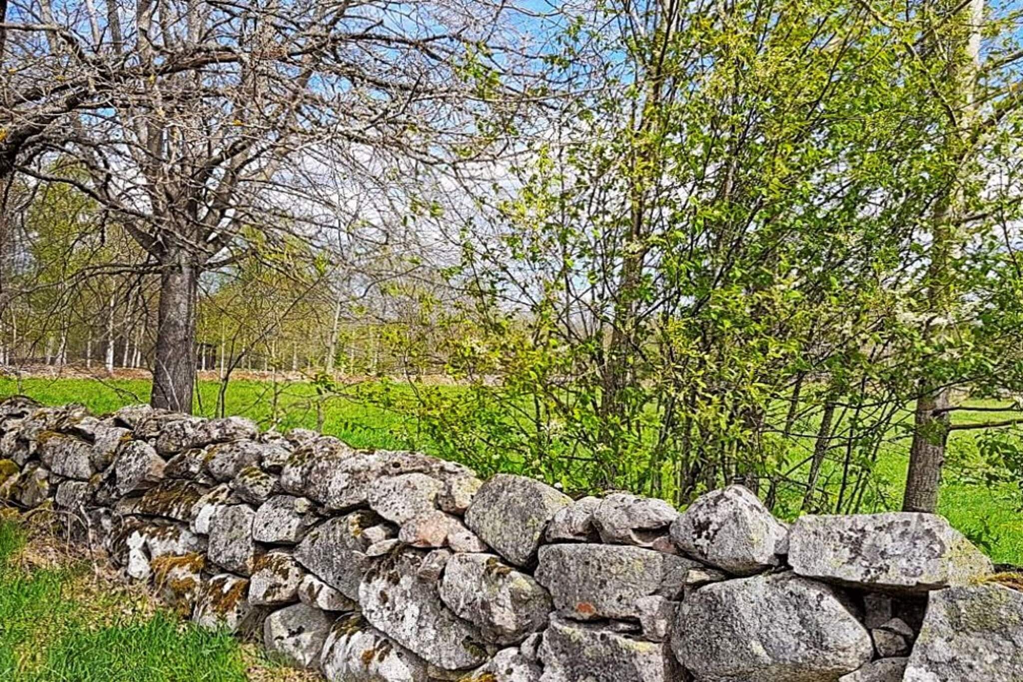 Internet Access DSL, open kitchen(cooker(electric), hood, coffee machine, microwave, dishwasher, fridge-freezer, high chair, water from well), Living/bed room(TV(swedish TV channels), fireplace, DVD player, radio, CD player), bedroom(double bed), bedroom(2x bunk bed), bathroom(washbasin, shower, toilet, washing machine), terrace, garden furniture, BBQ, parking, geothermal energy