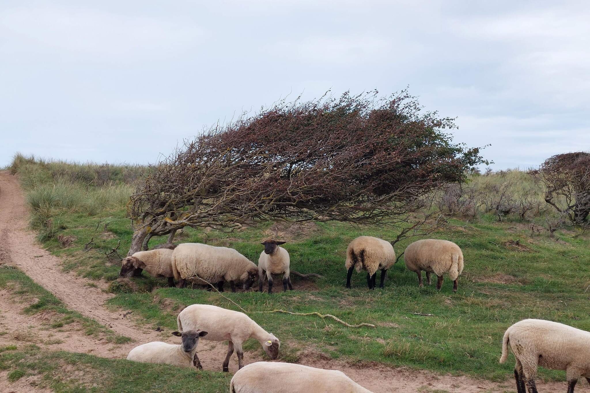 6 persoons vakantie huis in Hjørring-Niet-getagd