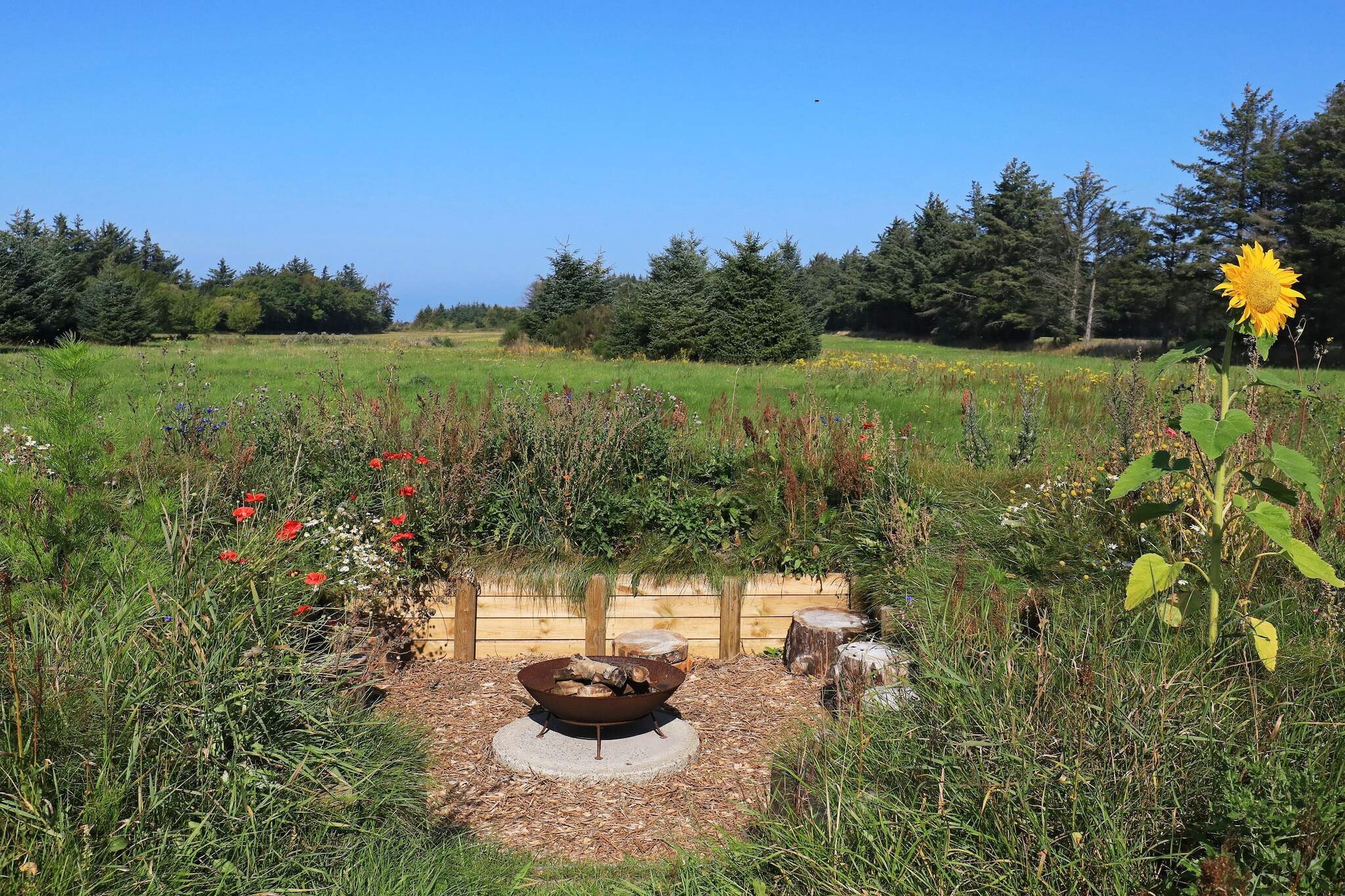 6 persoons vakantie huis in Hjørring-Uitzicht