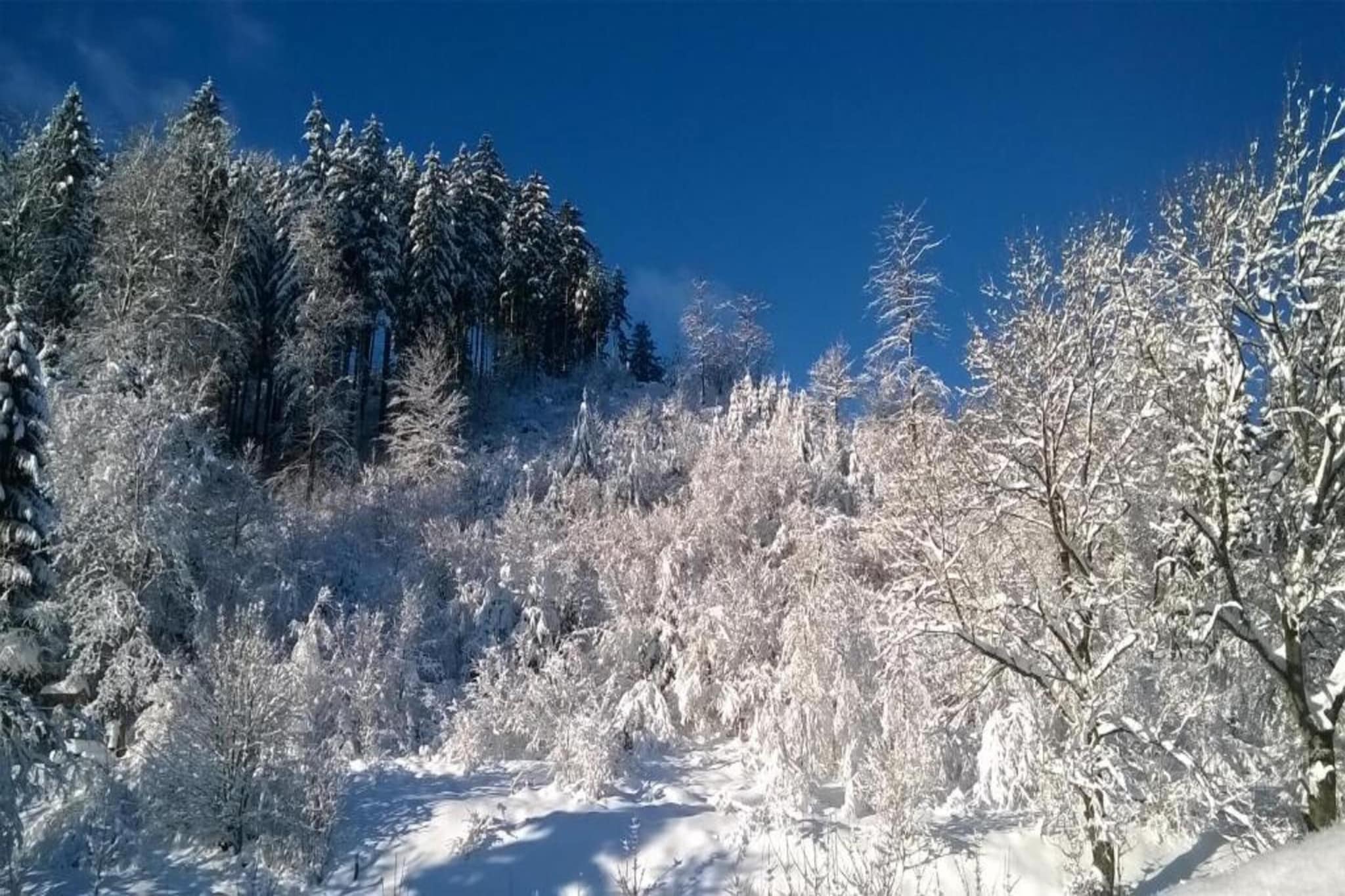 Haus Tori-Area winter 20km
