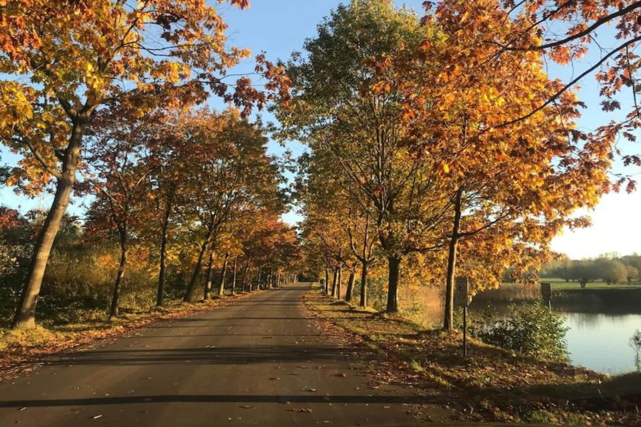Vakantiewoning Palingsgat-Gebieden zomer 20km