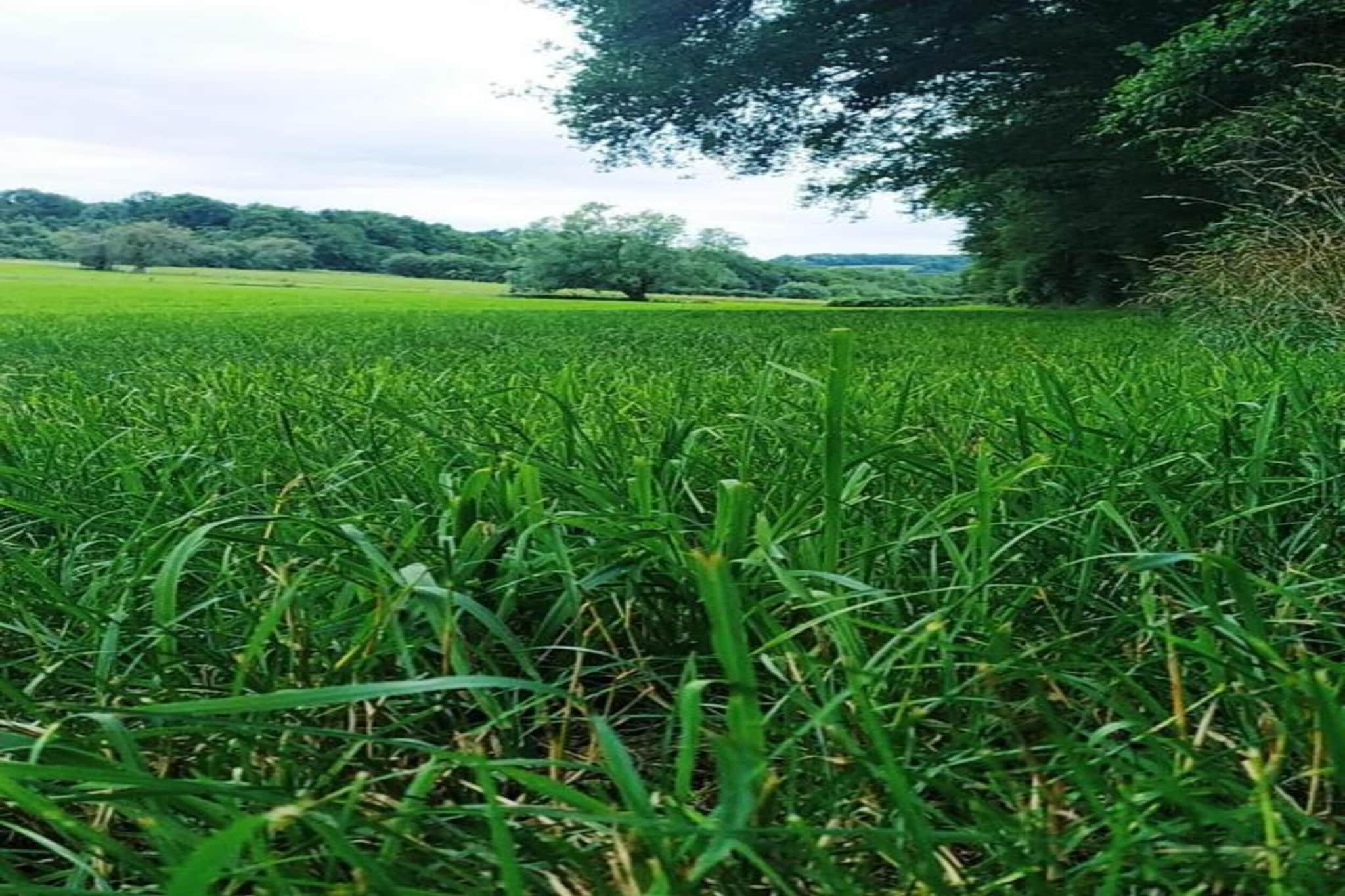 Résidence Durbuy 17-Areas summer 20km