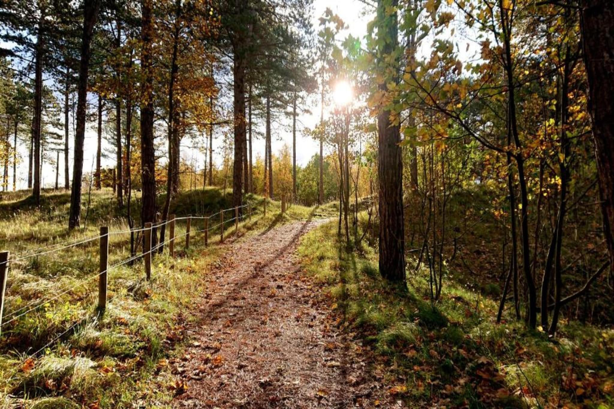 Oosterpark 76 - Oostkapelle-Gebieden zomer 5km