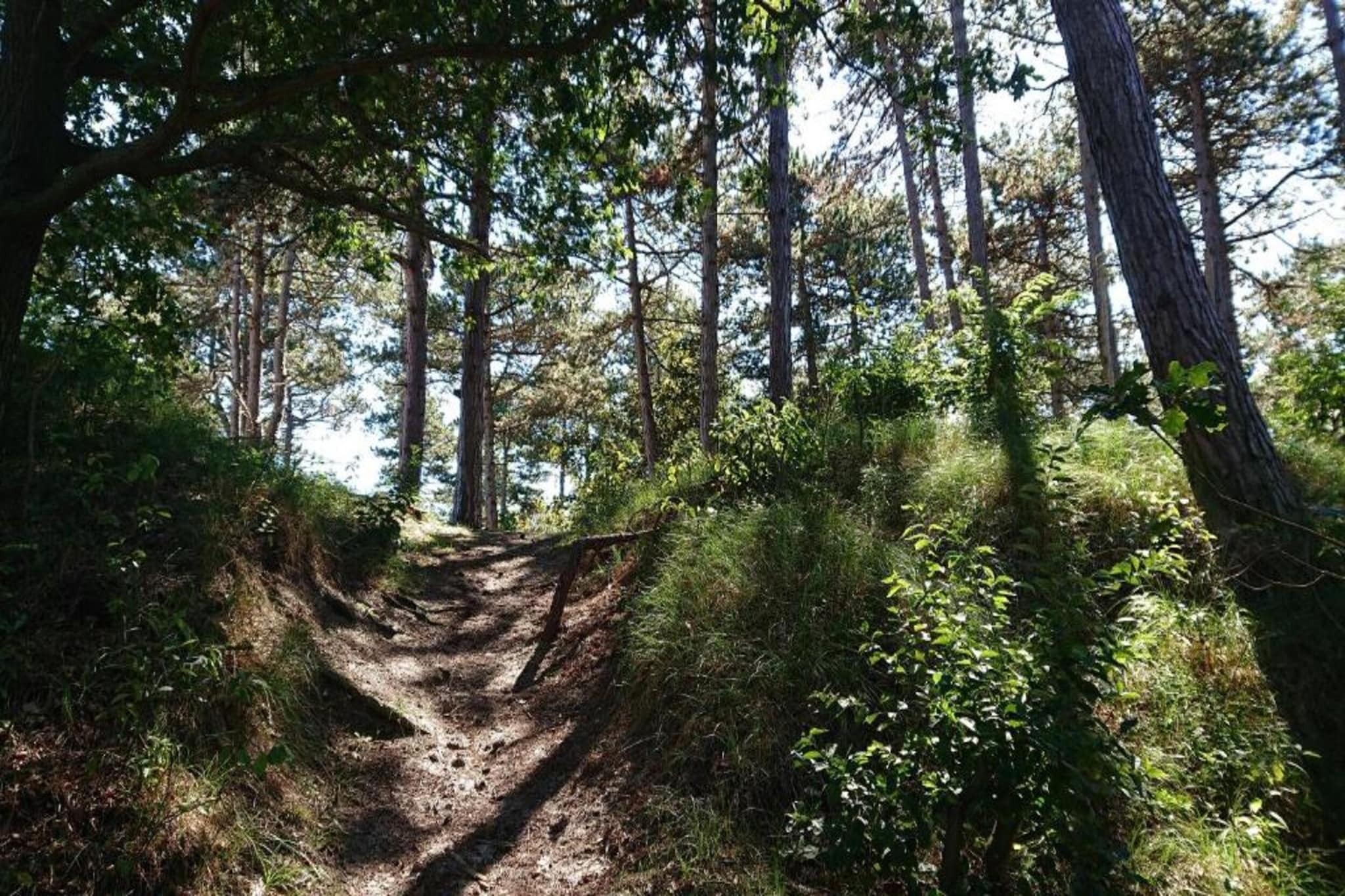 Oosterpark 76 - Oostkapelle-Gebieden zomer 5km