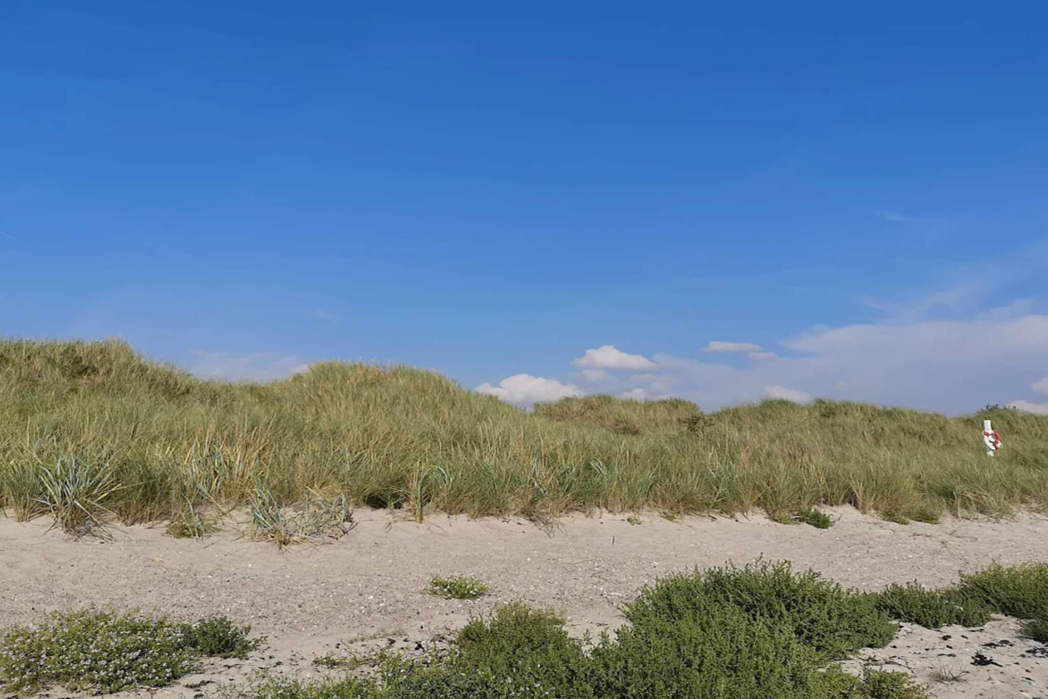 Tranquil Oasis in Hummingen-By Traum